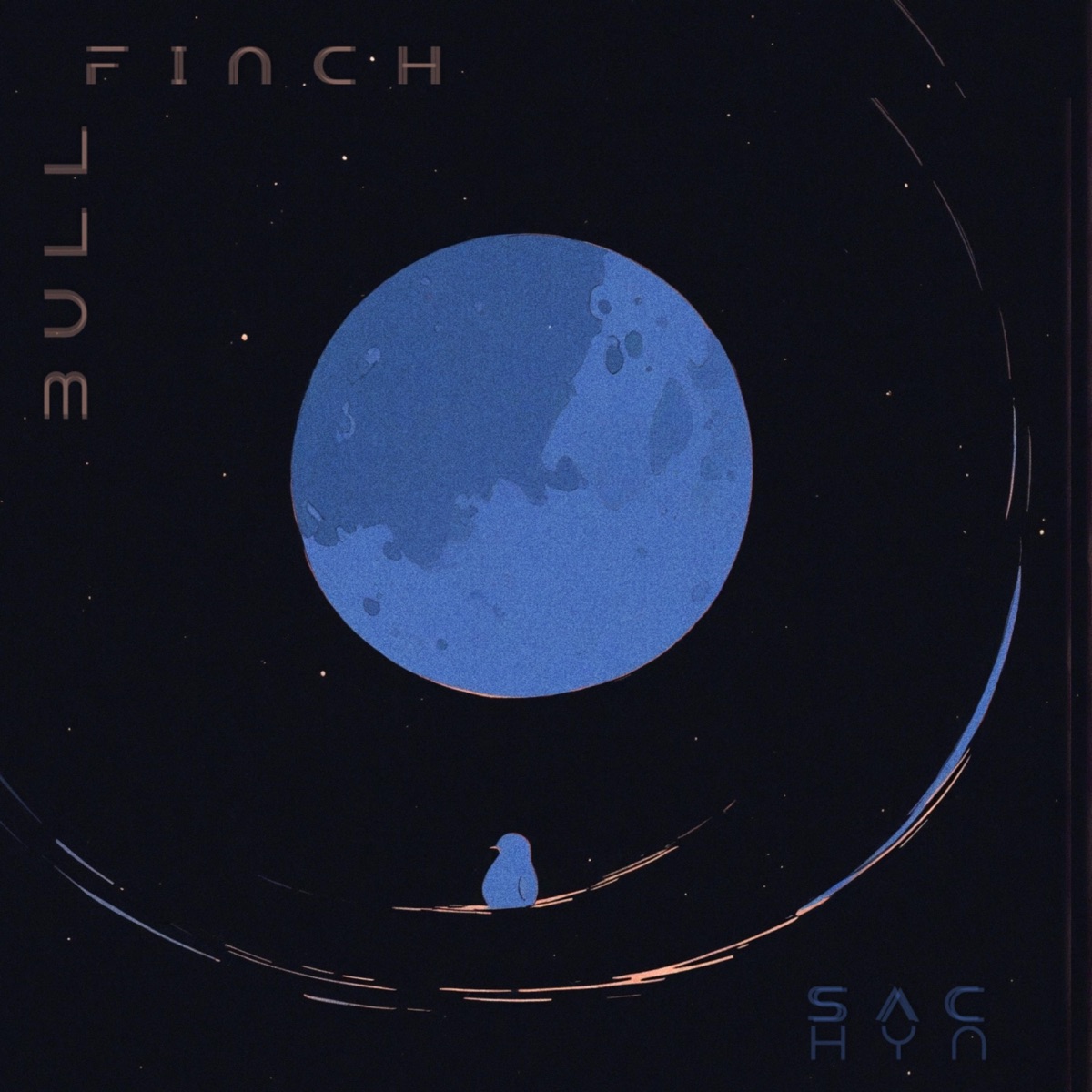 Bull Finch - Single by SACHYN album cover