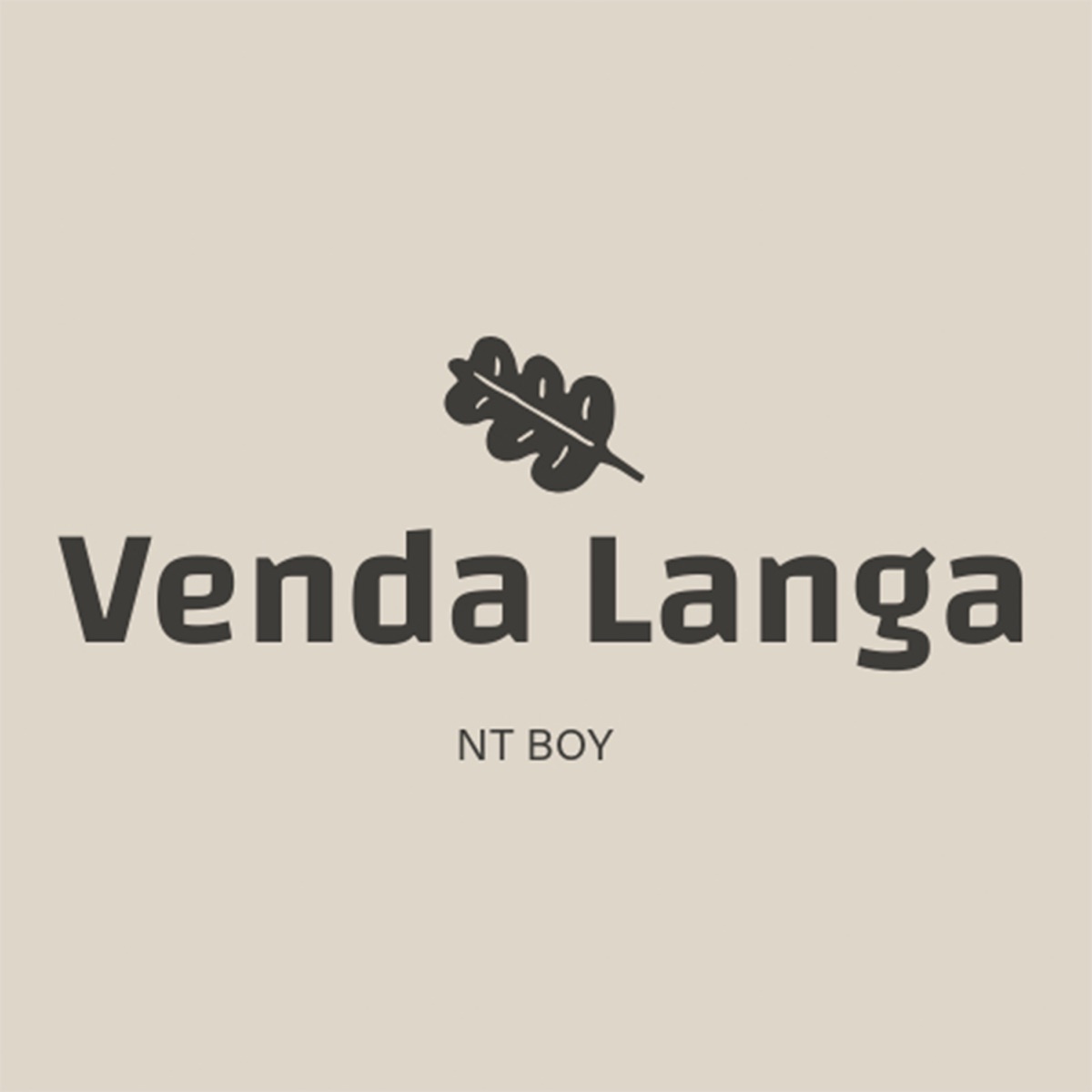 Venda langa - Single by NT BOY album cover