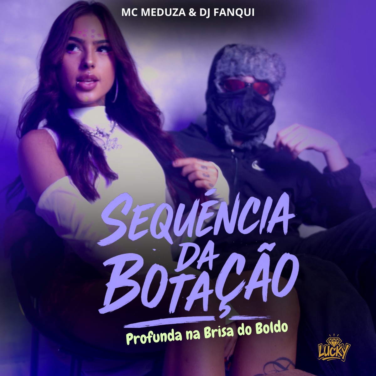Sequência da Botação Profunda na Brisa do Boldo - Single by DJ Fanqui & MC MEDUZA album cover