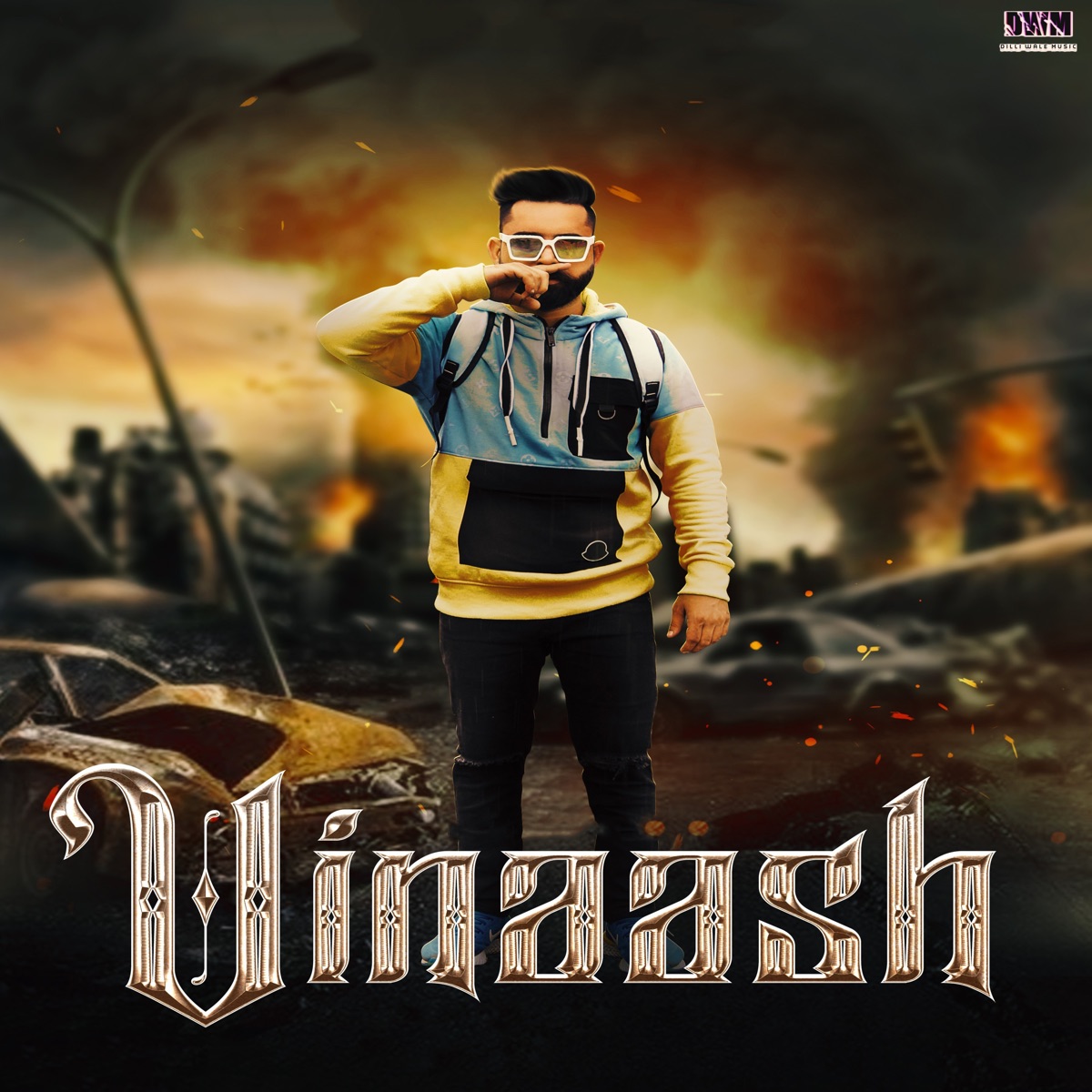 Vinaash - Single by Amrik album cover