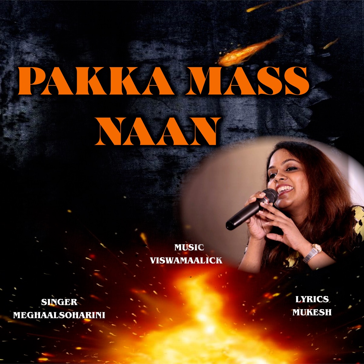 Pakka Mass Naan - Single by Viswamaalick & MEGHAALSOHARINI album cover