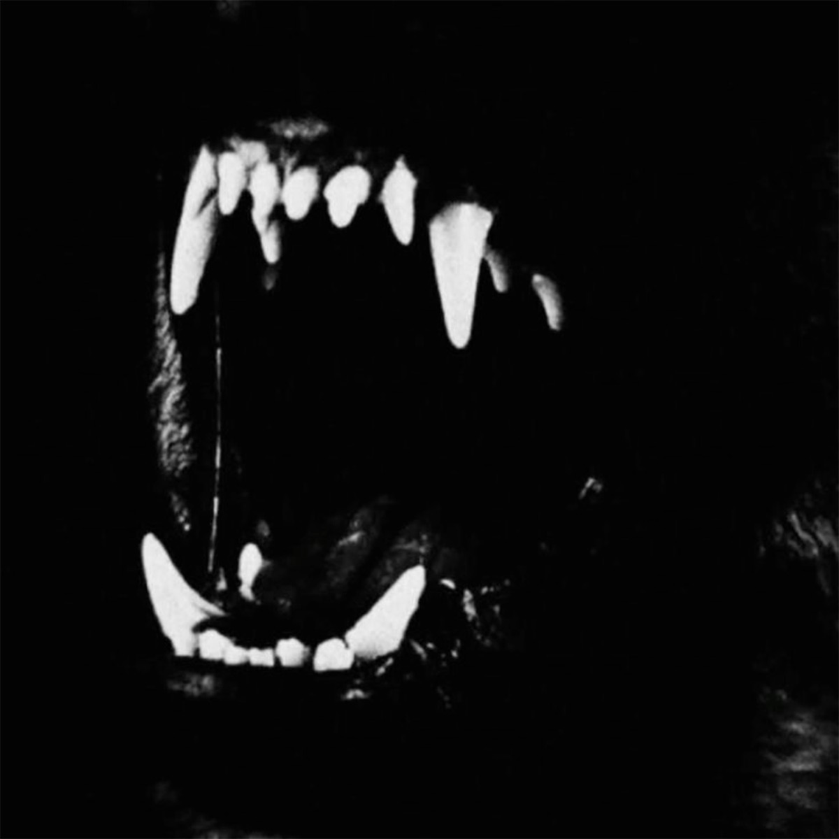 PULL UP - Single by Wels album cover