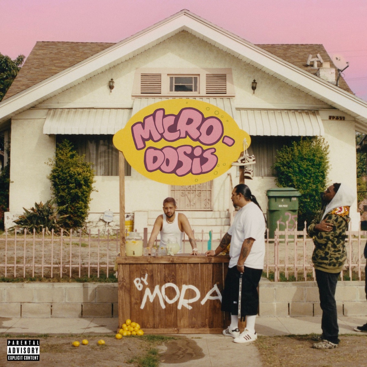 MICRODOSIS by Mora album cover