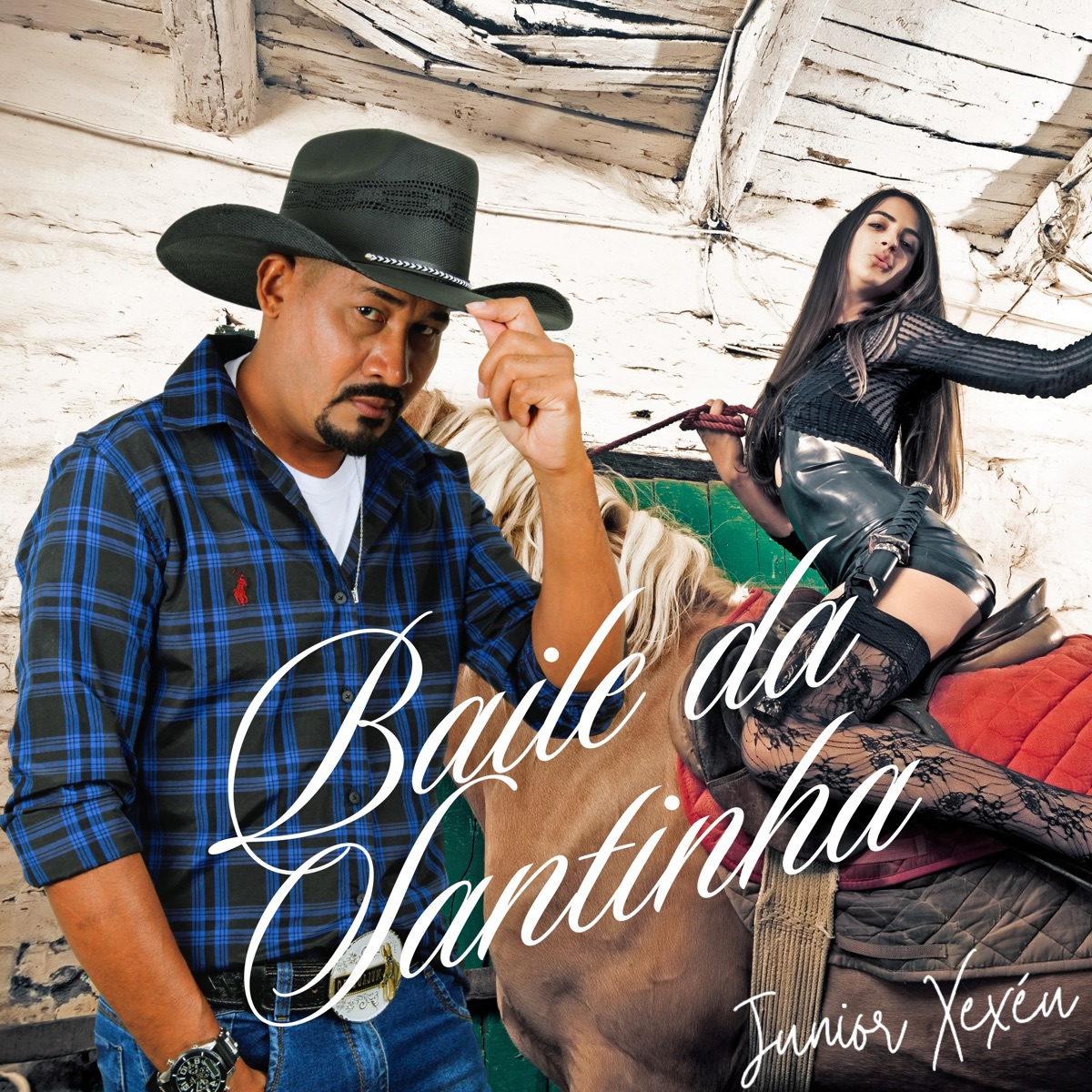 Baile da Santinha - Single by Junior Xexéu album cover