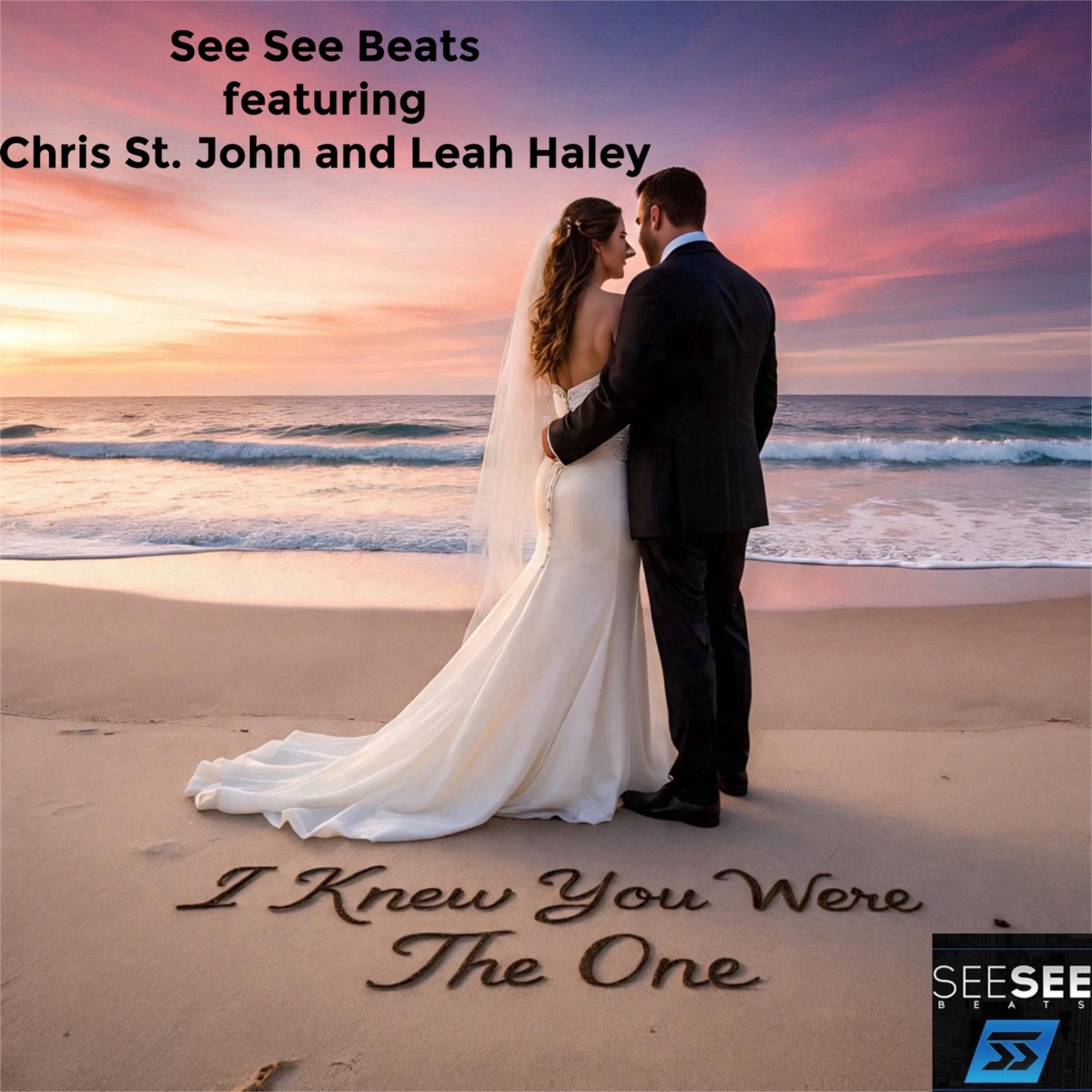 I Knew You Were The One (feat. Chris St. John & Leah Haley) - Single by See See Beats album cover