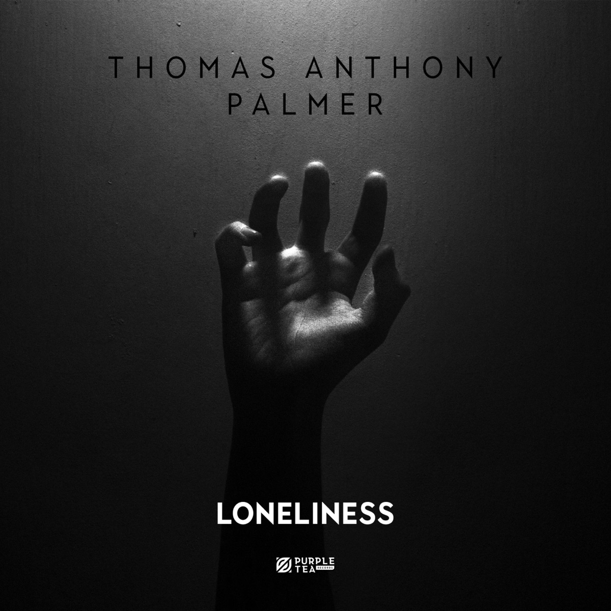 Loneliness - Single by Thomas Anthony & PALMER album cover