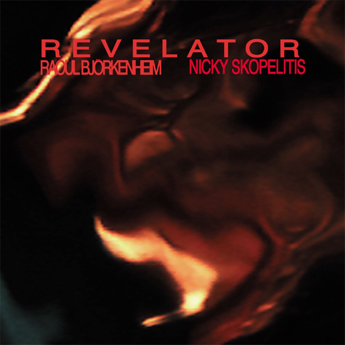 Revelator by Nicky Skopelitis & Raoul Björkenheim album cover