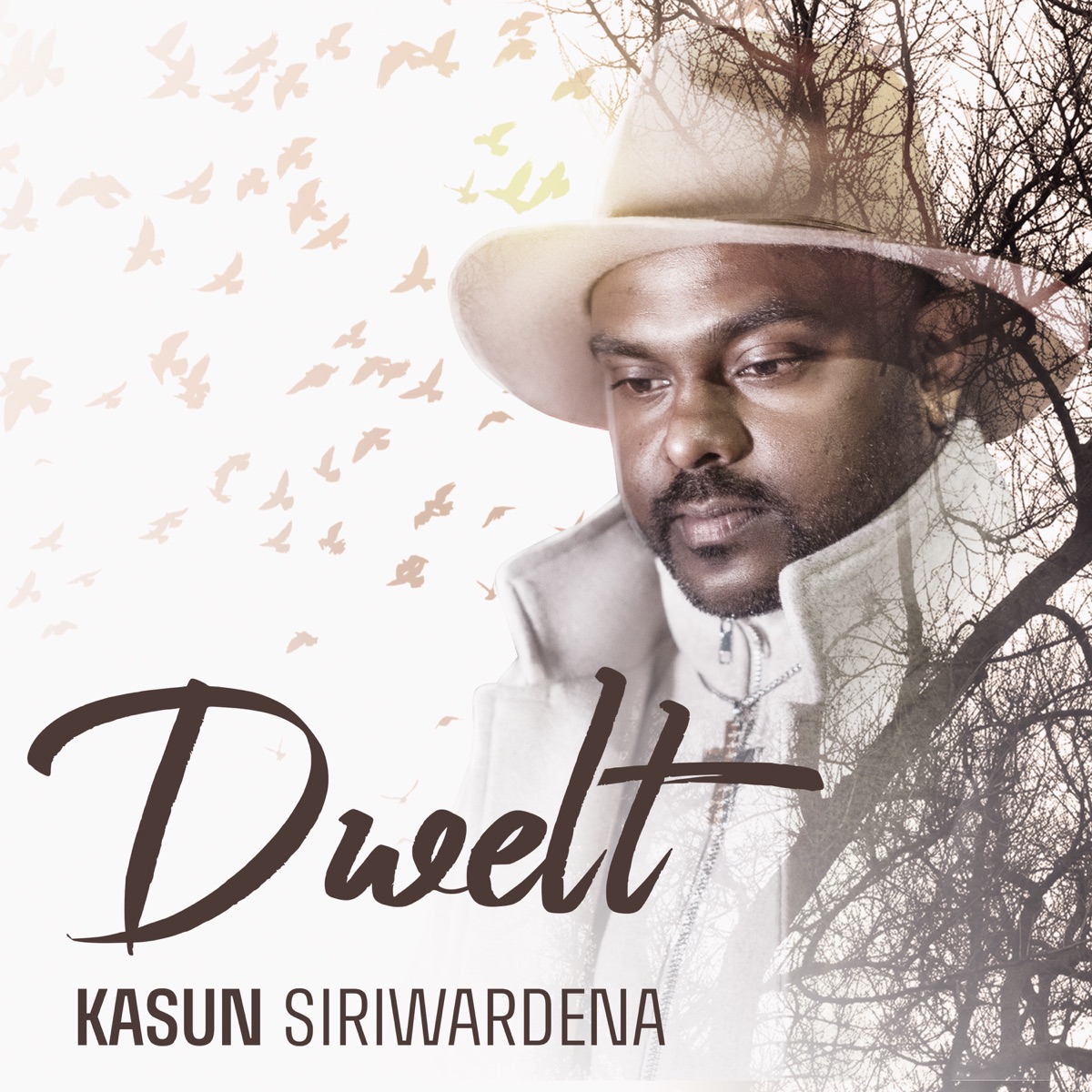 Dwelt - Single by Kasun Siriwardena album cover