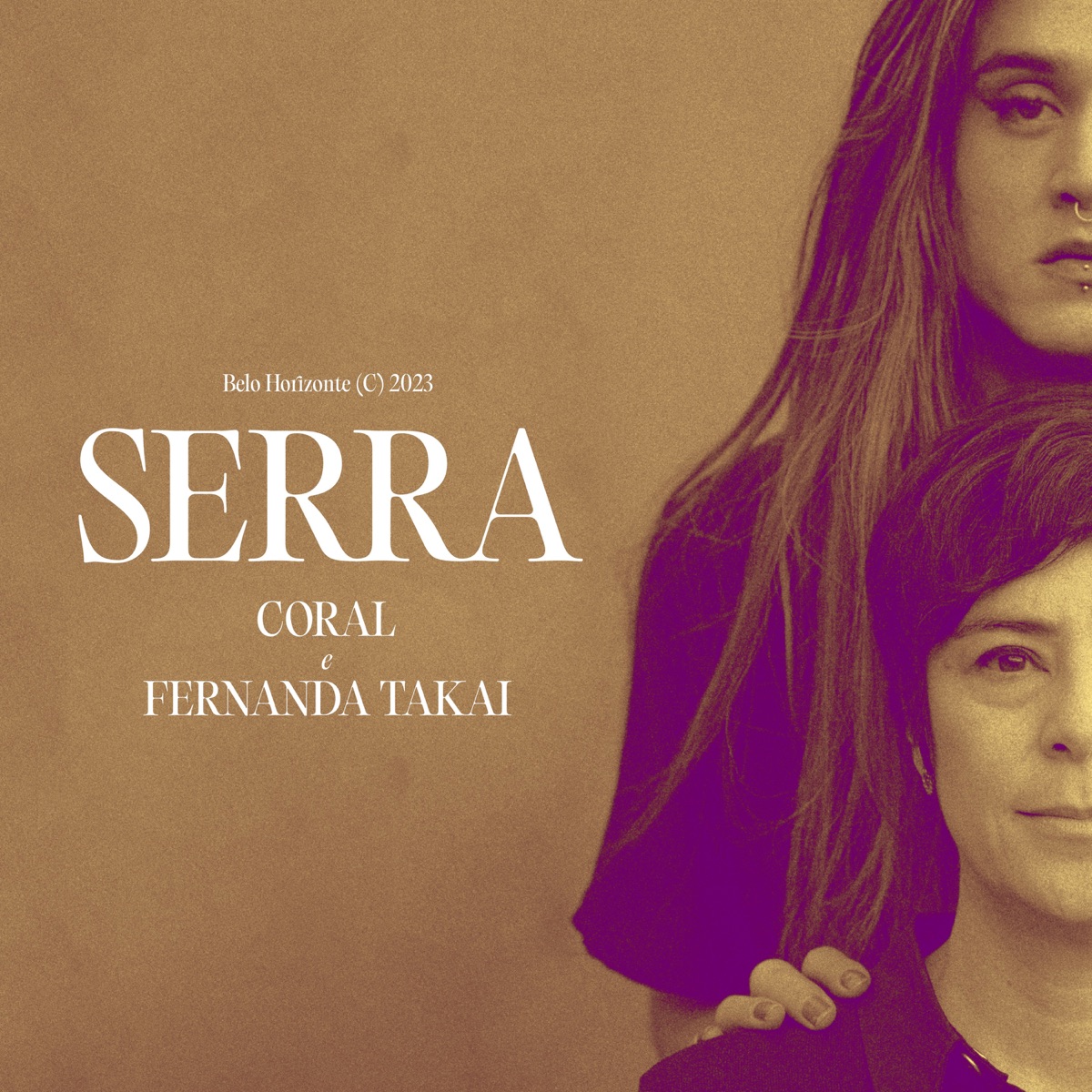 Serra - Single by Fernanda Takai & aocoral album cover