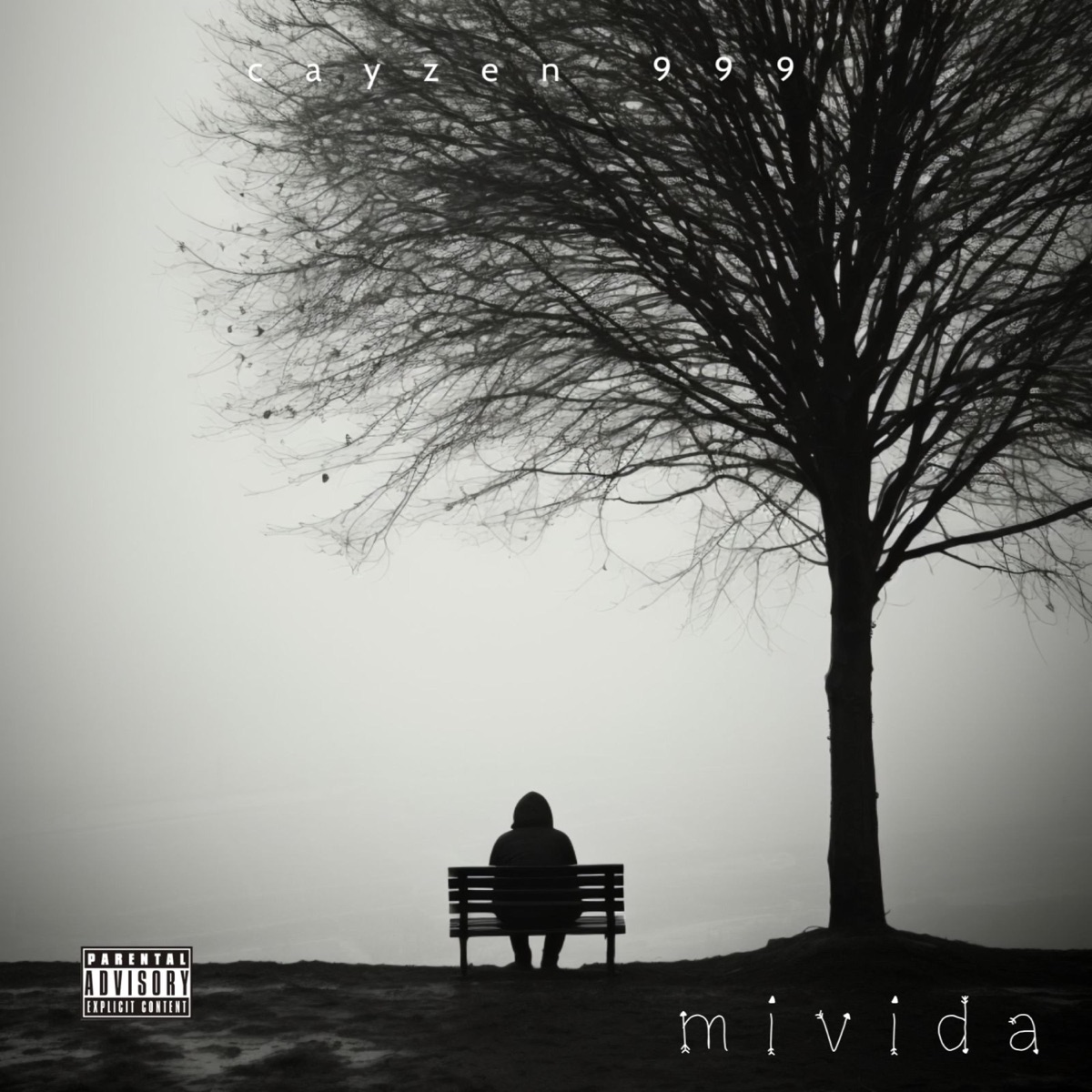 Mi vida - Single by Cayzen album cover