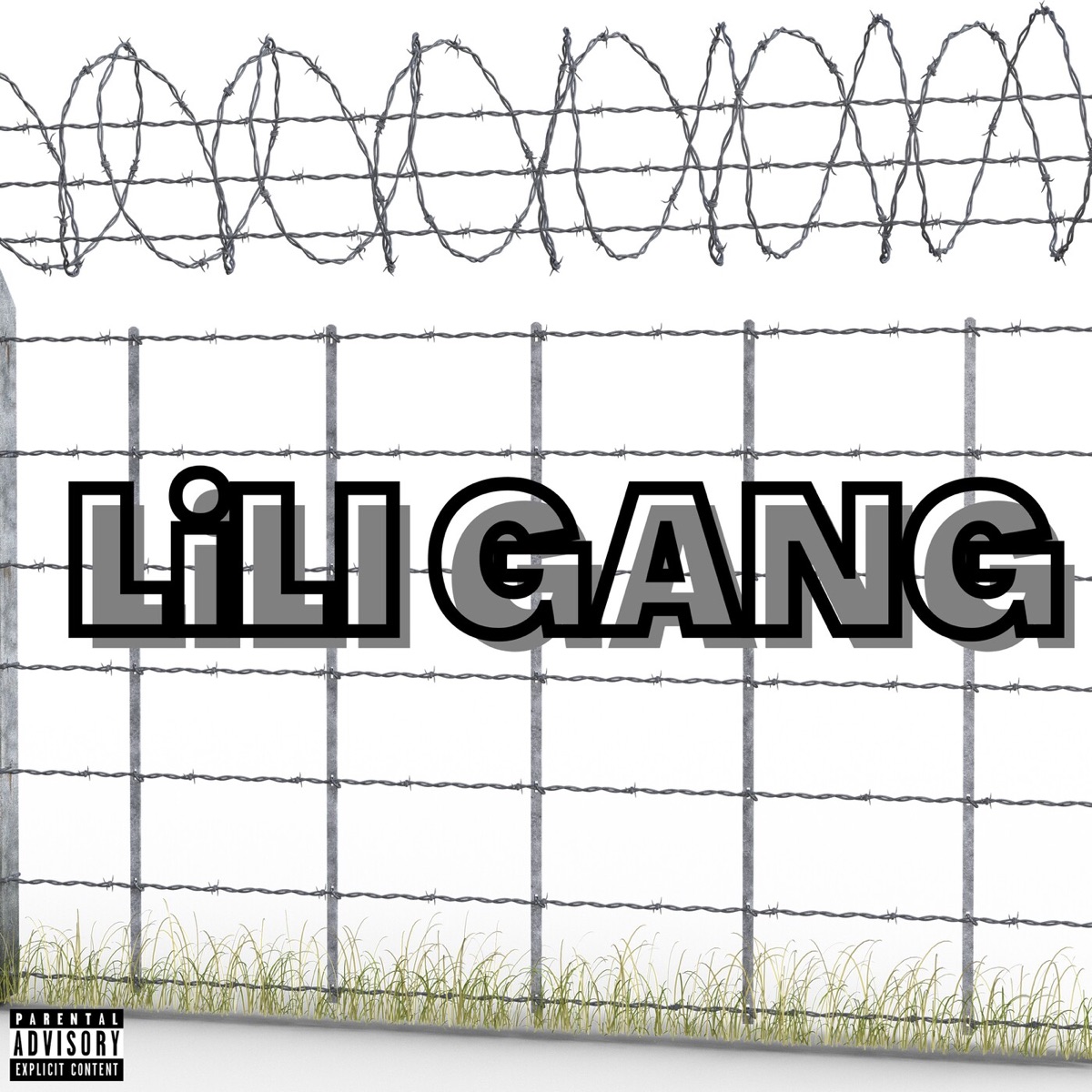 Lili Gang (feat. R-big, Mutant, OREIA DO BTT & Ruffbetz .) - Single by D'Meraki album cover