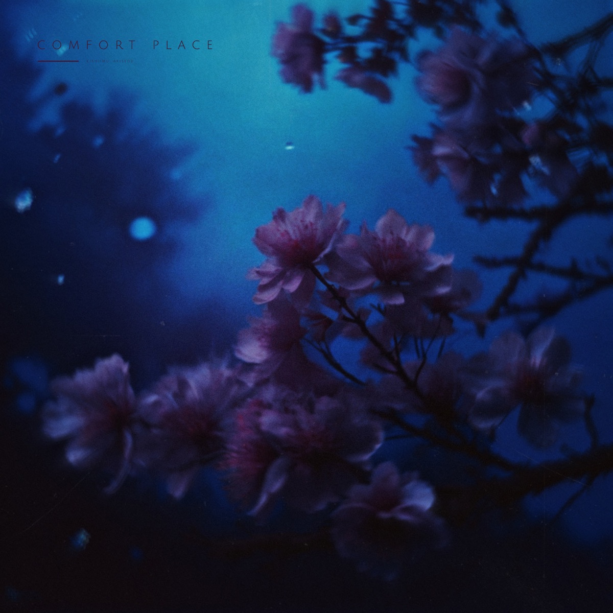 comfort place - Single by akisedd & kishiimu album cover