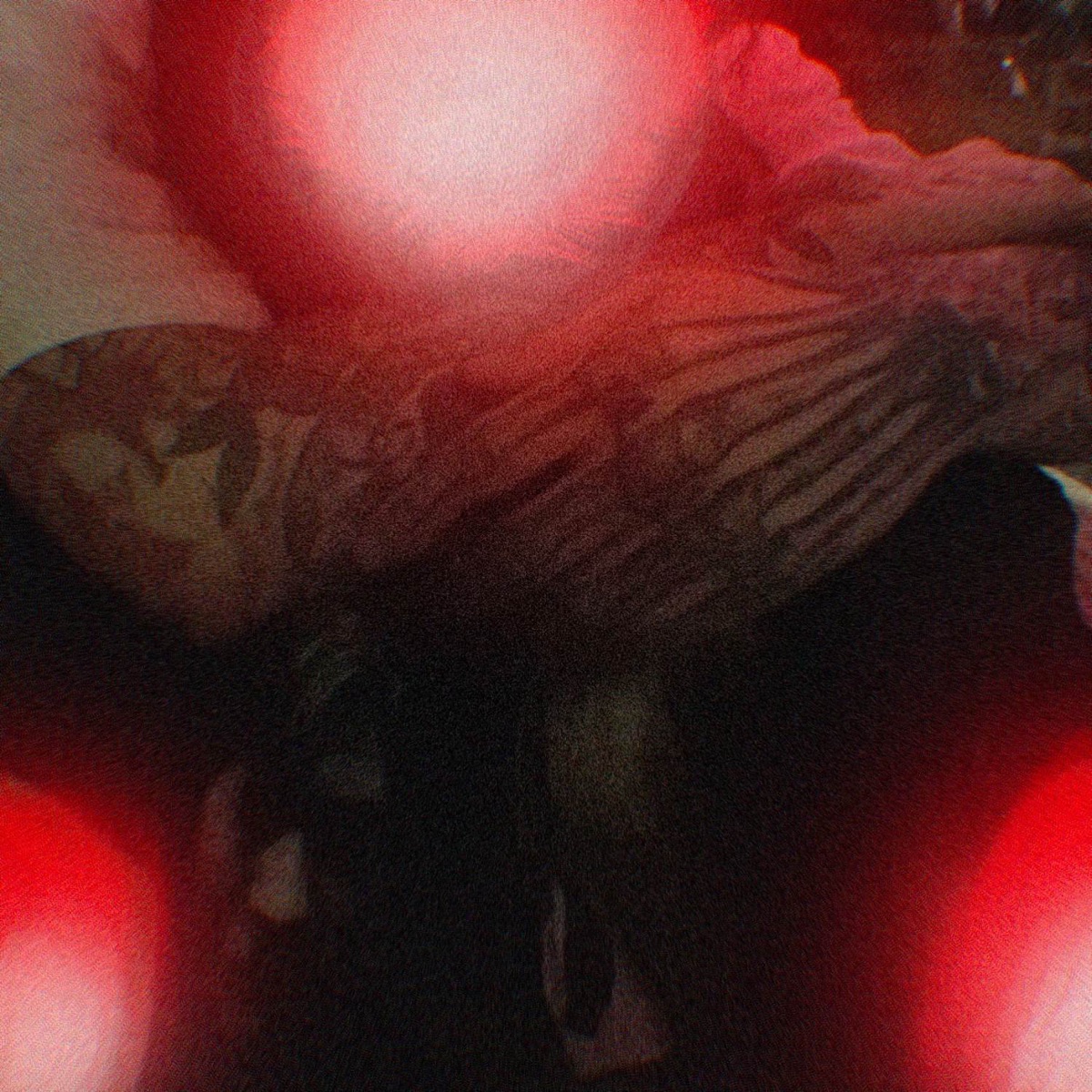 Pretty Girls Haunt Me - Single by Savage Ga$p & Ugovhb album cover