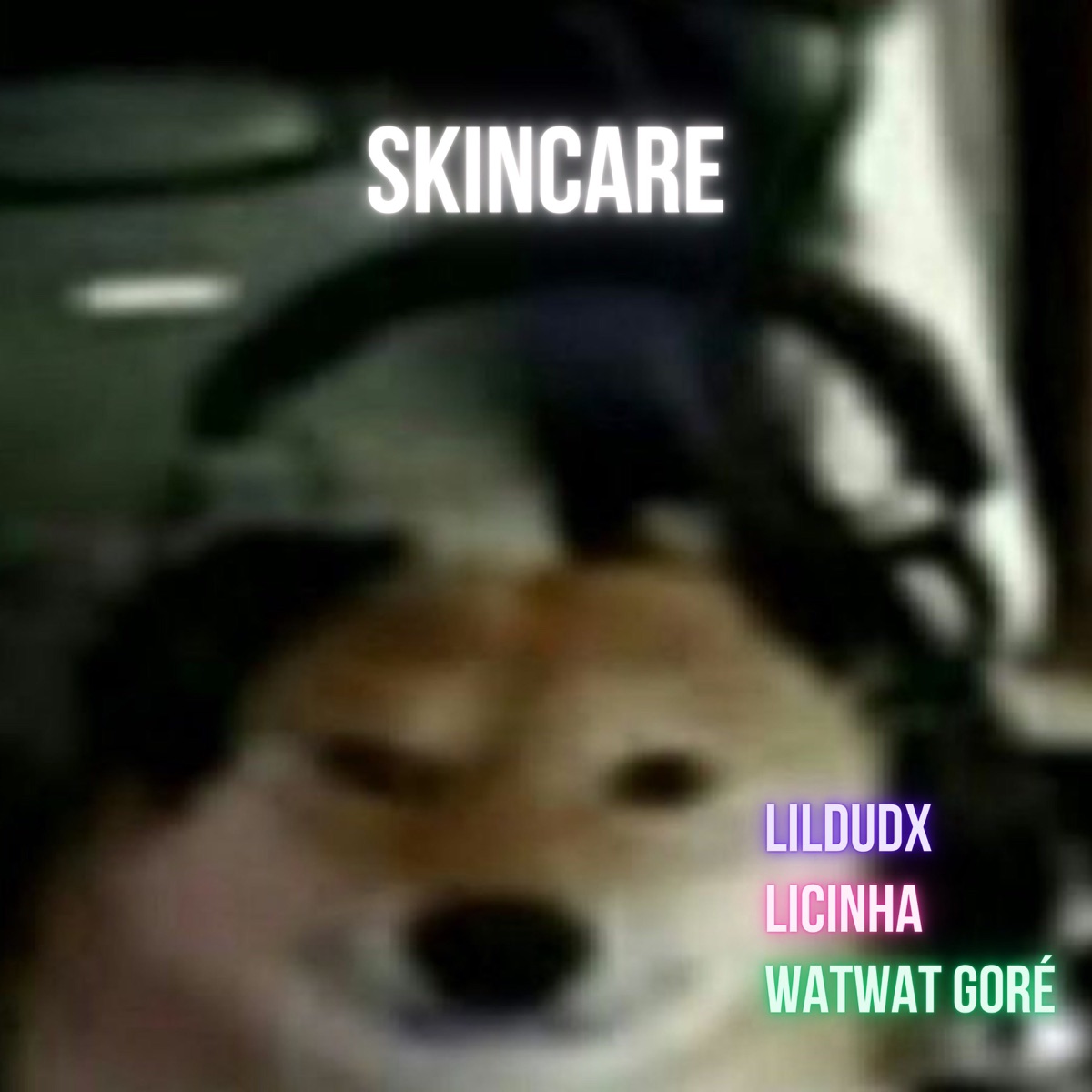 Skincare (feat. Licinha & WatWatGoré) - Single by LILDUDX album cover