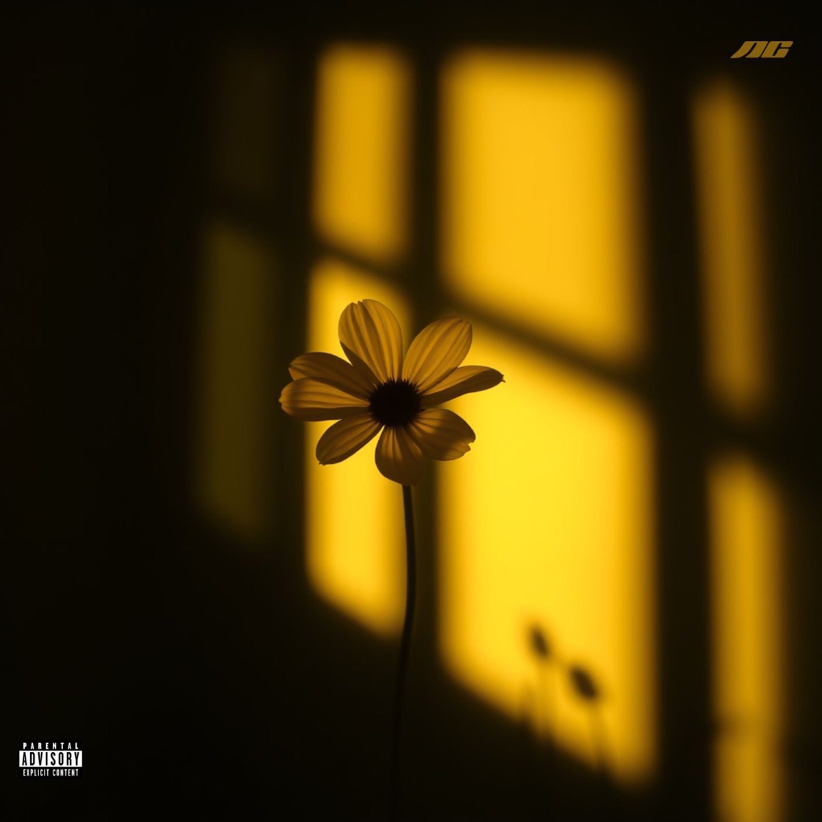 KIREI - Single by Neto Ceballos, Emiliano Athie & Tzunami album cover