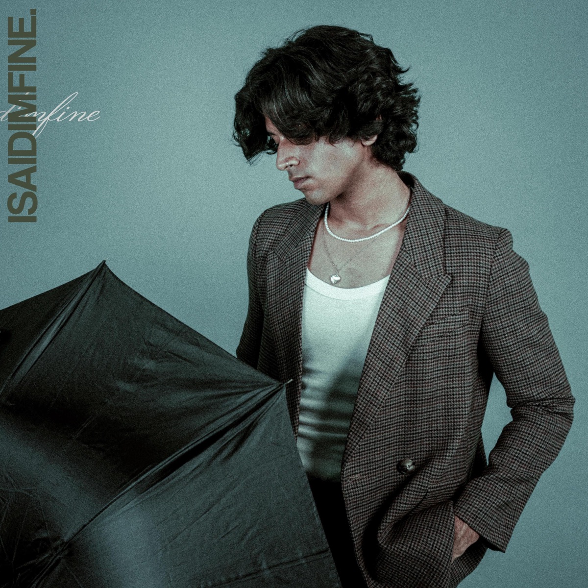 Isaidimfine. - Single by Praagya album cover