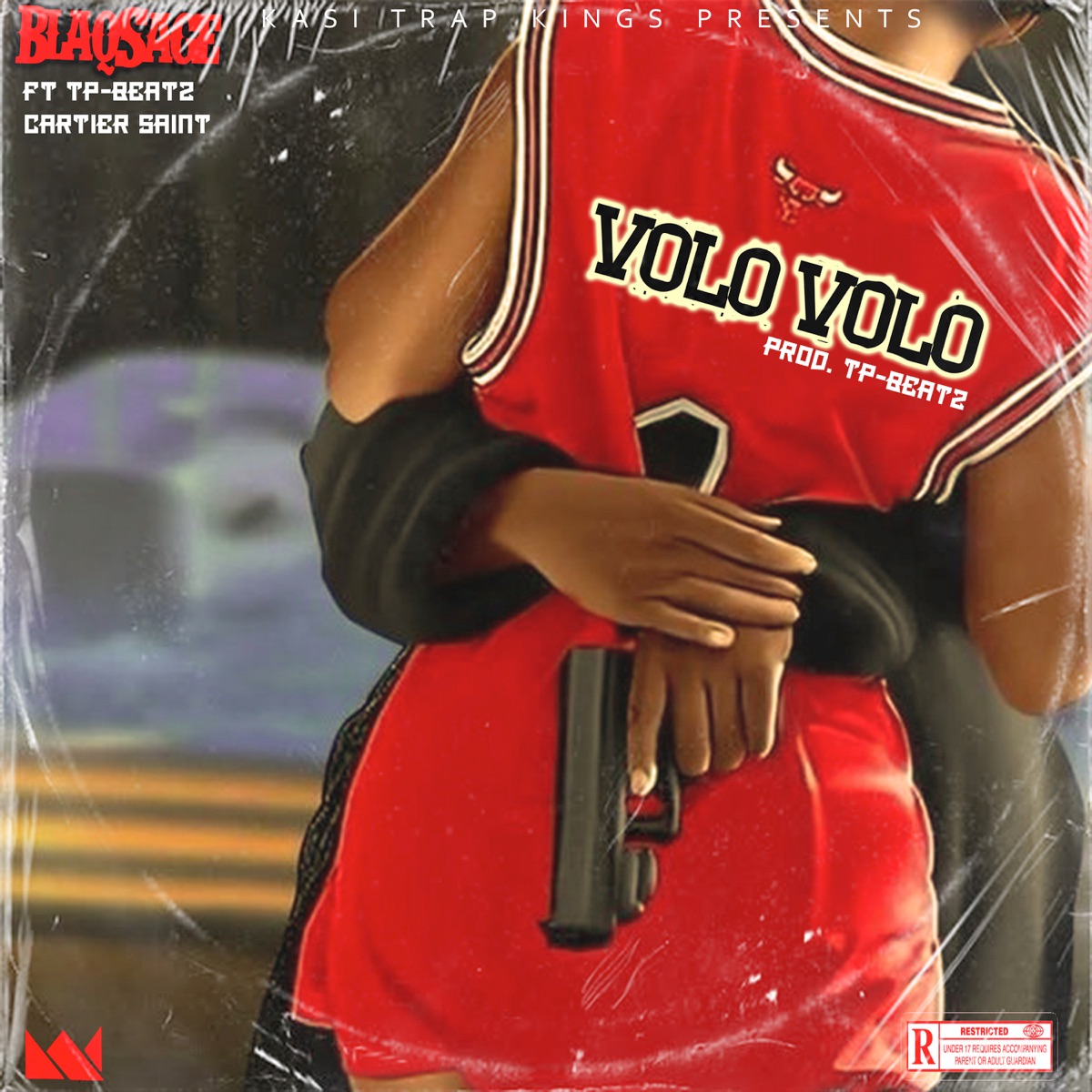 Volo Volo (feat. Cartier Saint & TP-BEATZ) - Single by Blaqsage album cover