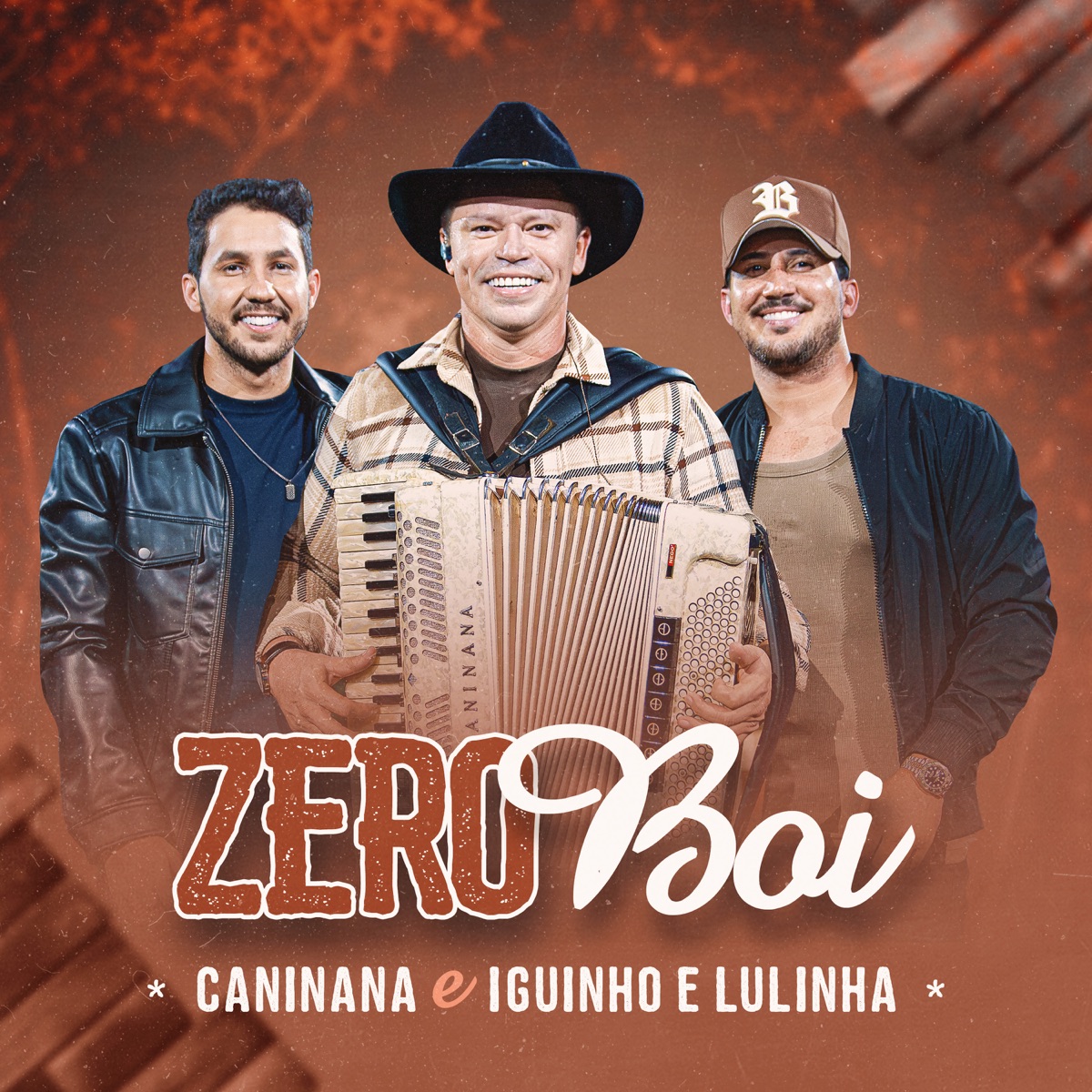 Zero Boi - Single by Caninana & Iguinho e Lulinha album cover