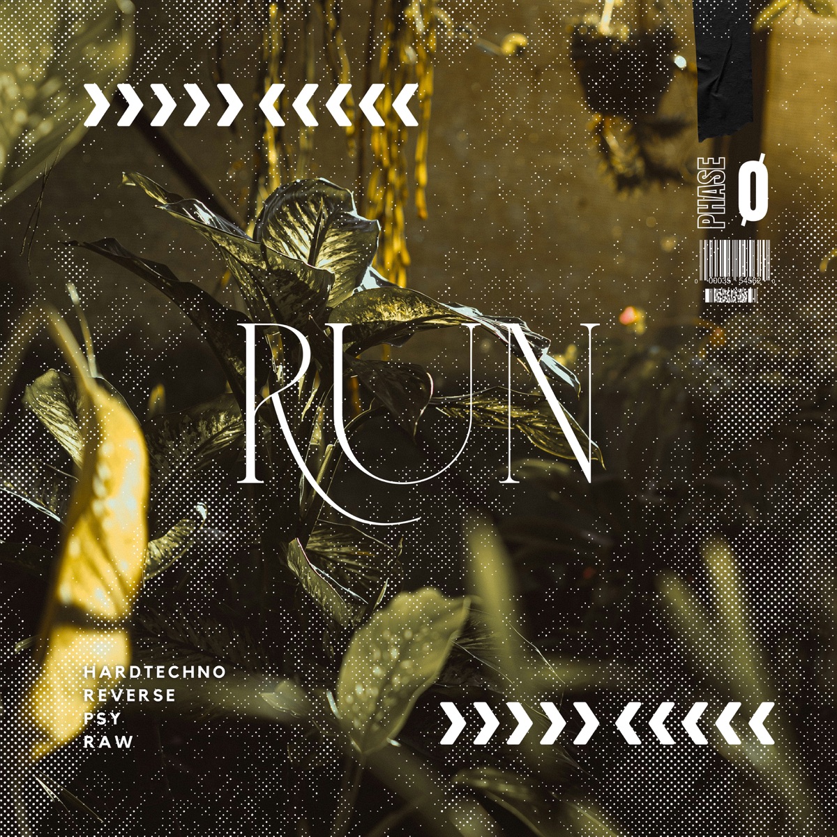 RUN - Single by FVTM album cover