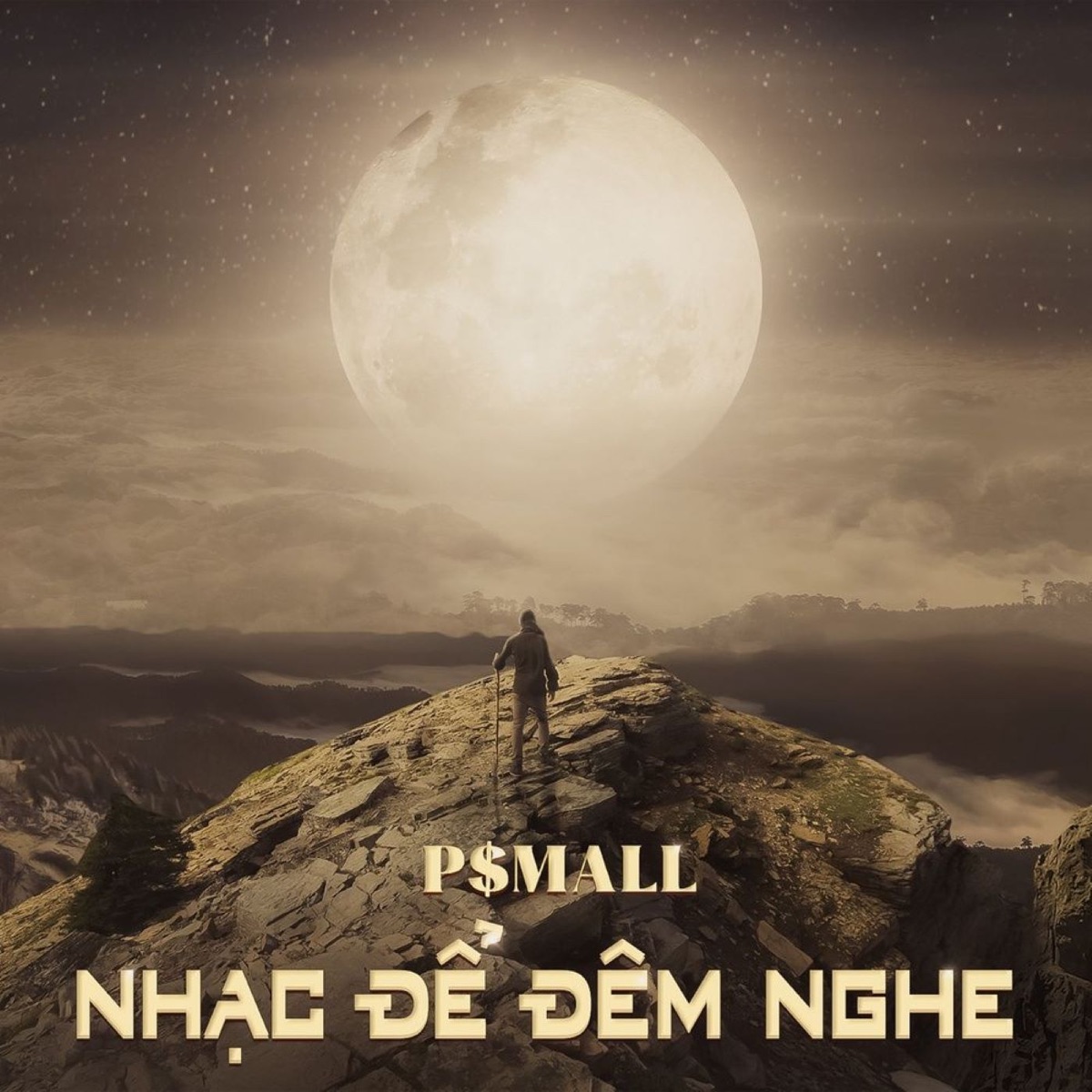Nhạc Để Đêm Nghe - EP by P$mall album cover