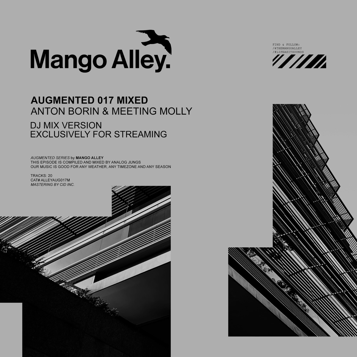Augmented 017 / Anton Borin & Meeting Molly (DJ Mix) by Mango Alley, Anton Borin (RU) & Meeting Molly album cover