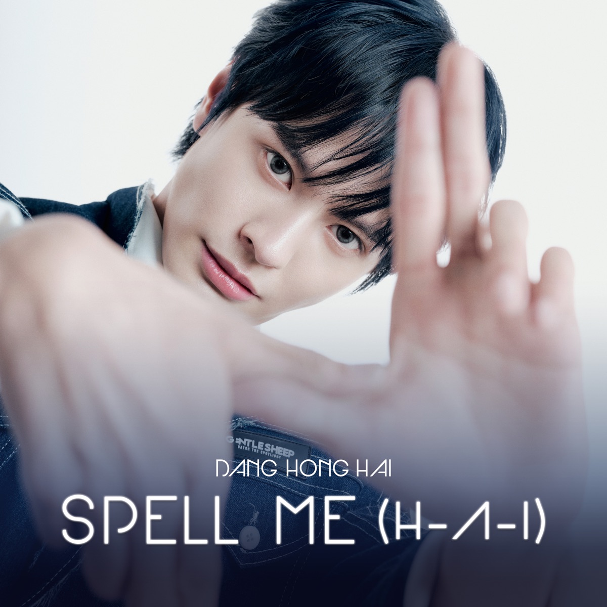 Spell Me (H-A-I) - Single by TINH HÀ "SAY HI" & DANG HONG HAI album cover