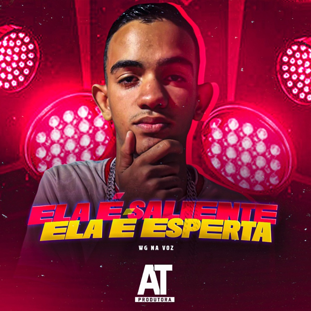 Ela É Saliente Ela É Esperta - Single by WG na Voz album cover