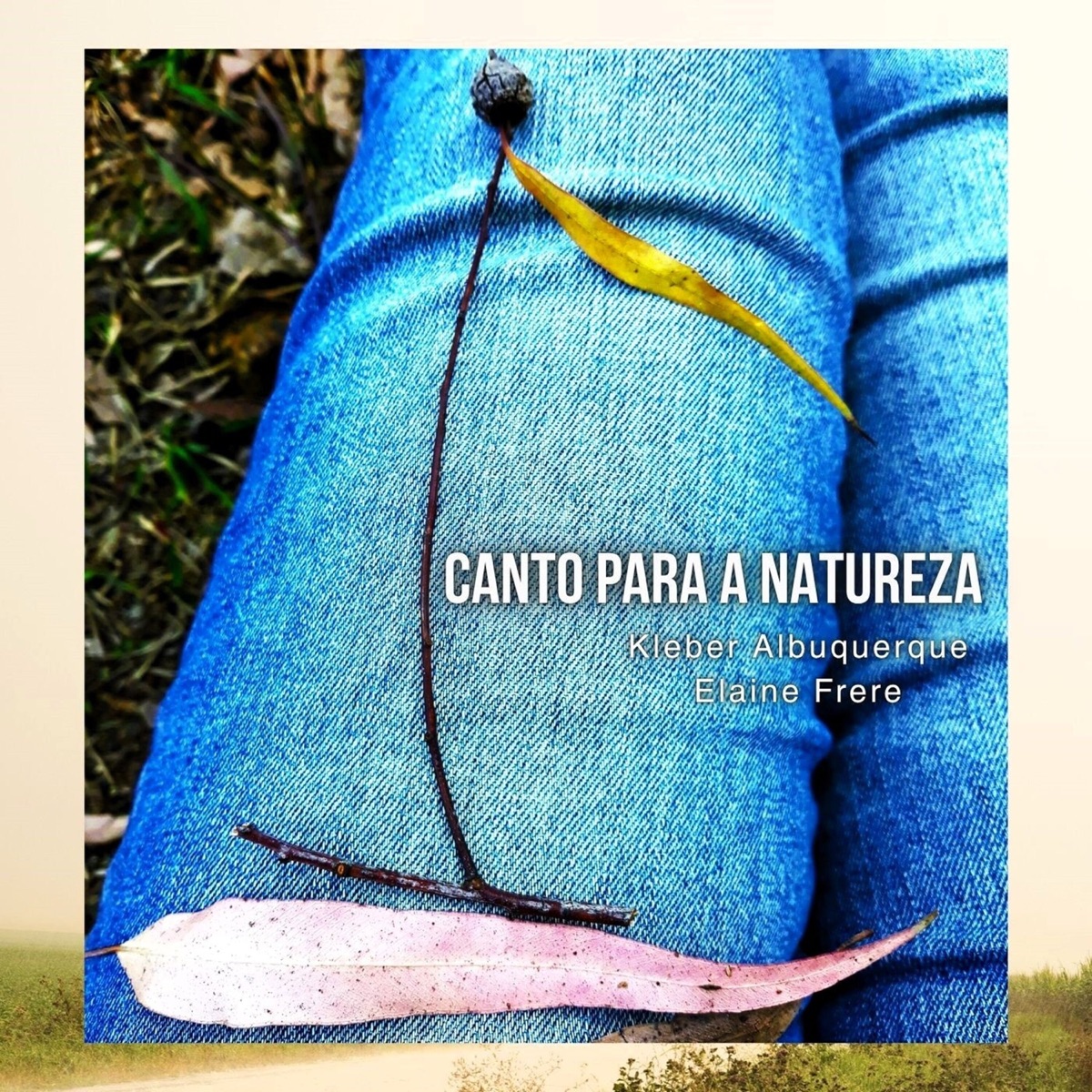 CANTO PARA A NATUREZA - Single by Kléber Albuquerque & Elaine Frere album cover
