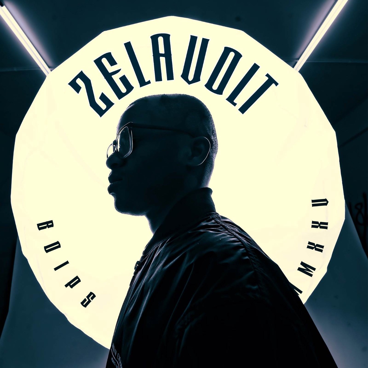 Zelavolt by Boips album cover