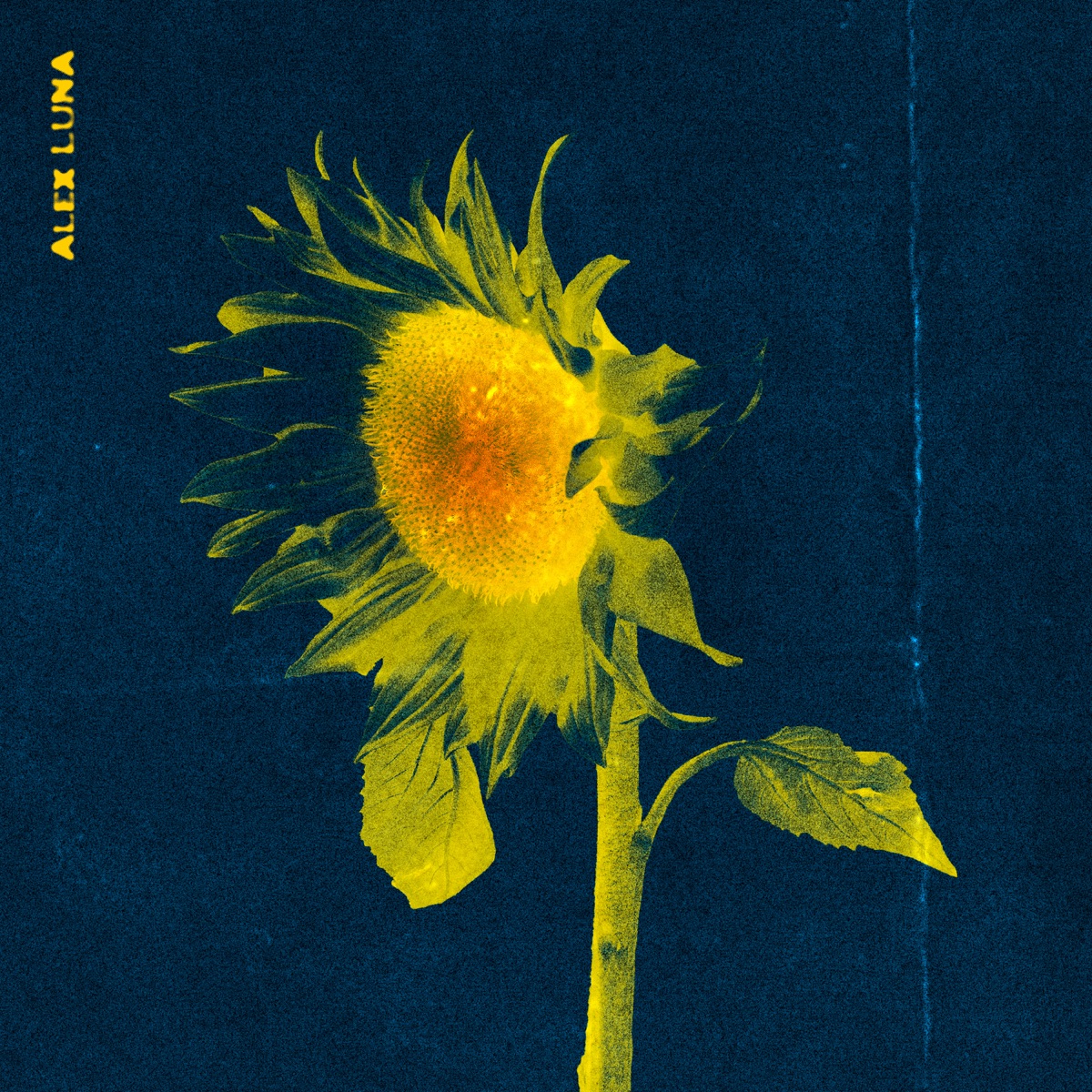 Flores Amarillas - Single by Alex Luna album cover