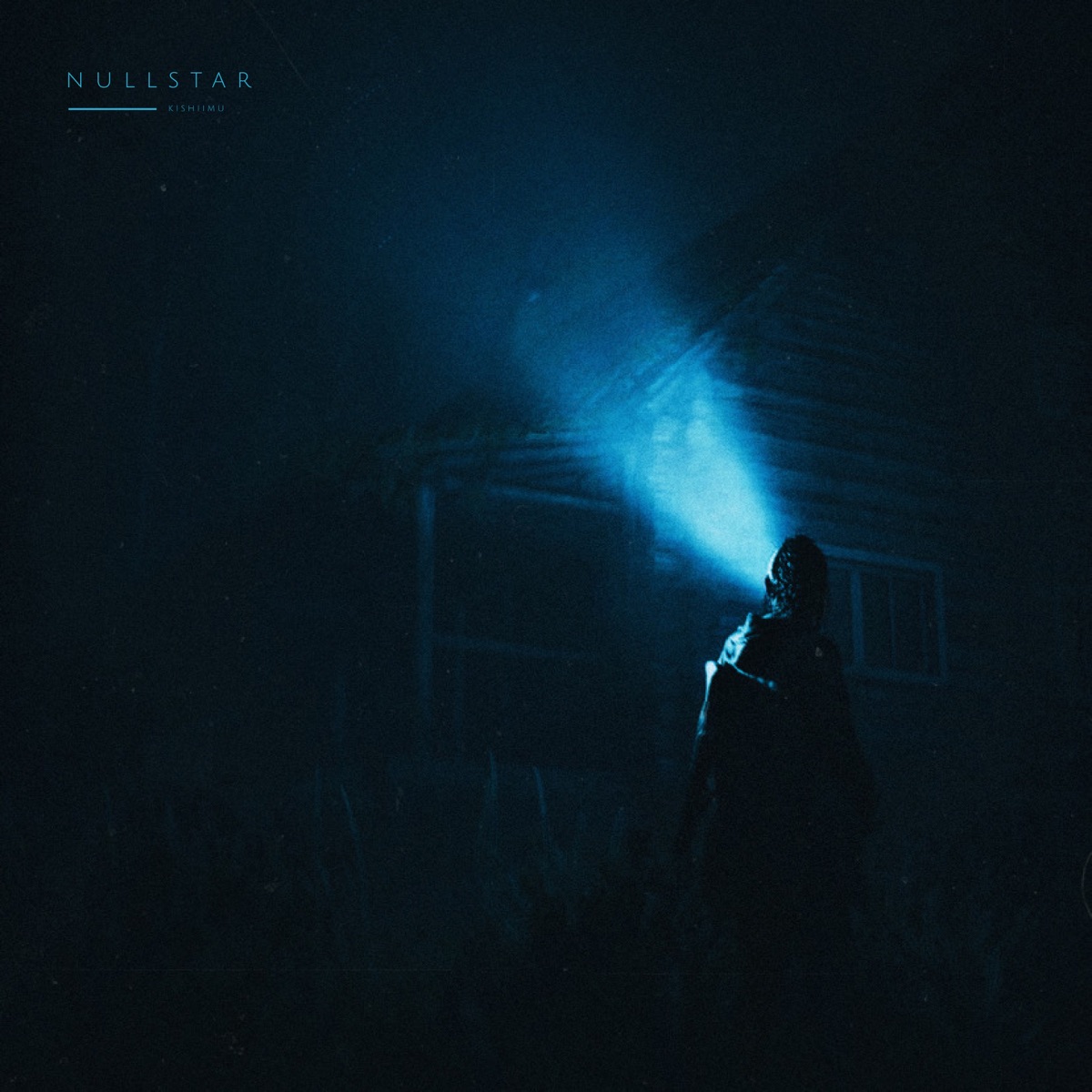 Nullstar - Single by kishiimu album cover