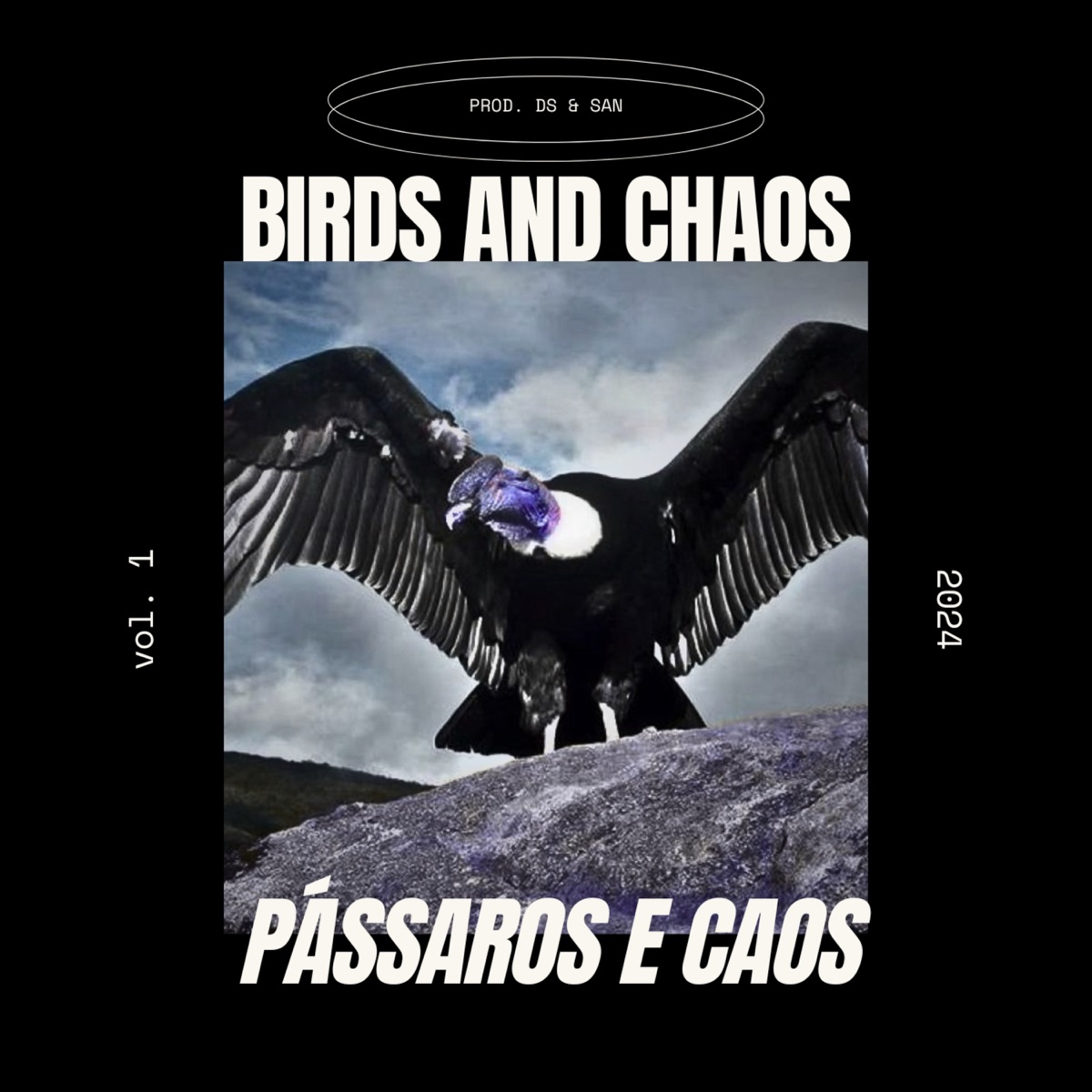 Pássaros e Caos (Bird and Chaos) - EP by San album cover