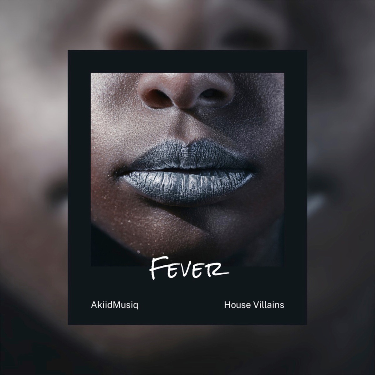 Fever - Single by AkiidMusiq & House Villains album cover