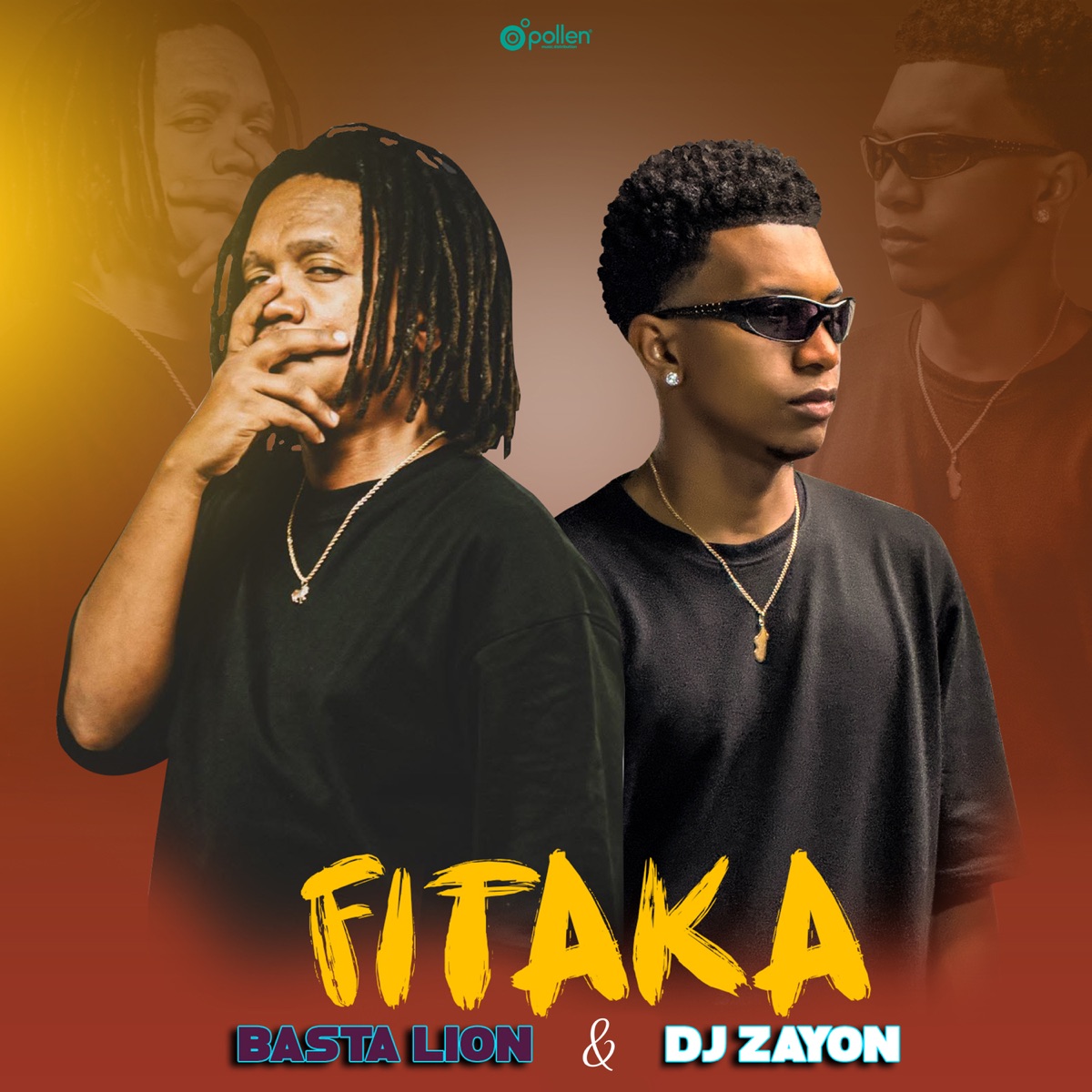 FITAKA - Single by DJ Zayon & Basta Lion album cover