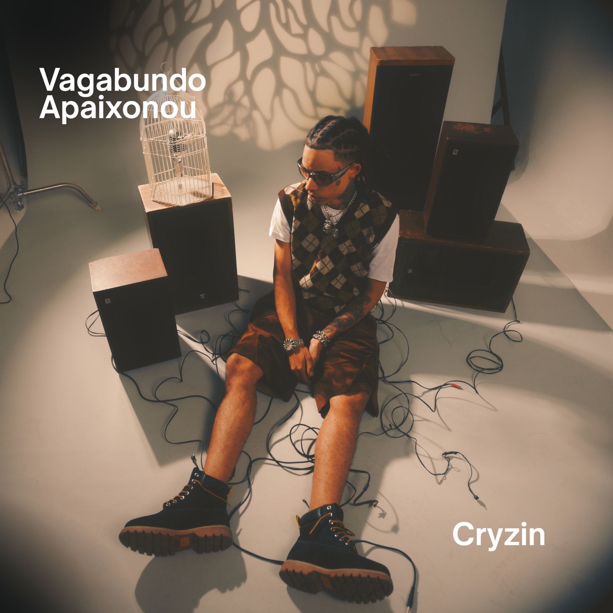 Vagabundo Apaixonou - Single by Cryzin album cover