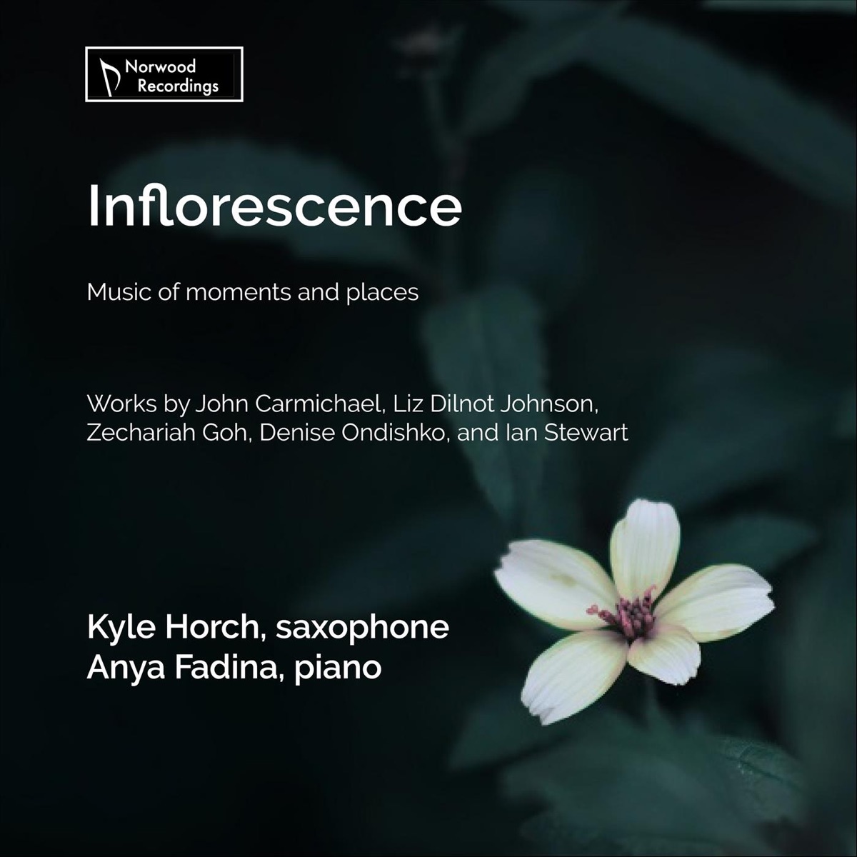 Inflorescence by Kyle Horch & Anya Fadina album cover