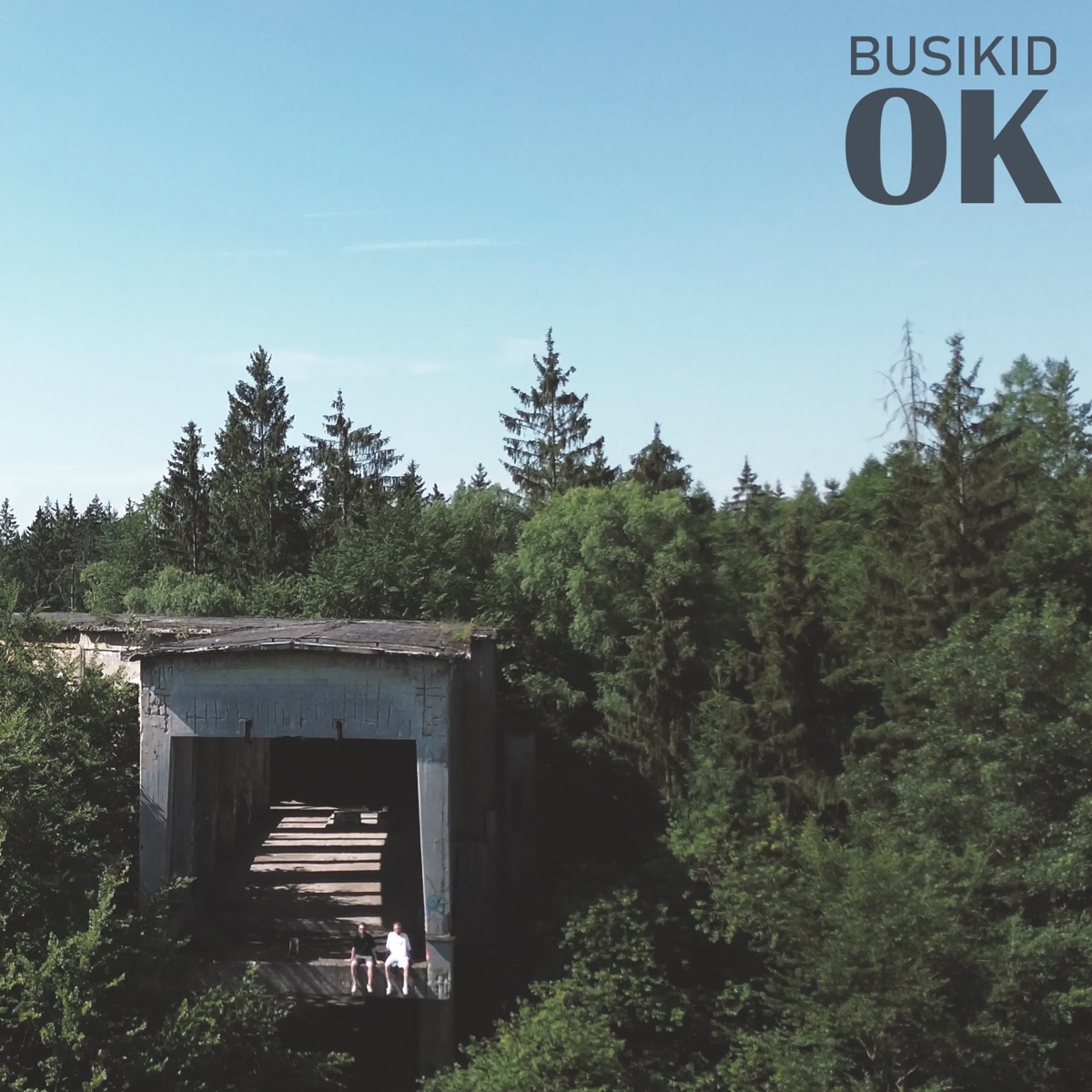 Ok - Single by Busikid album cover