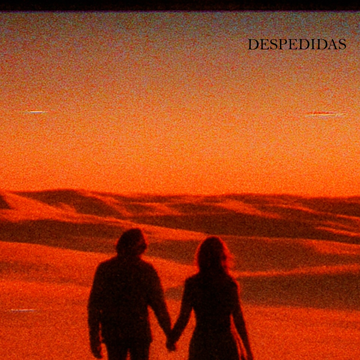 Despedidas - Single by erva doce, Next Records & RENAN SJ album cover
