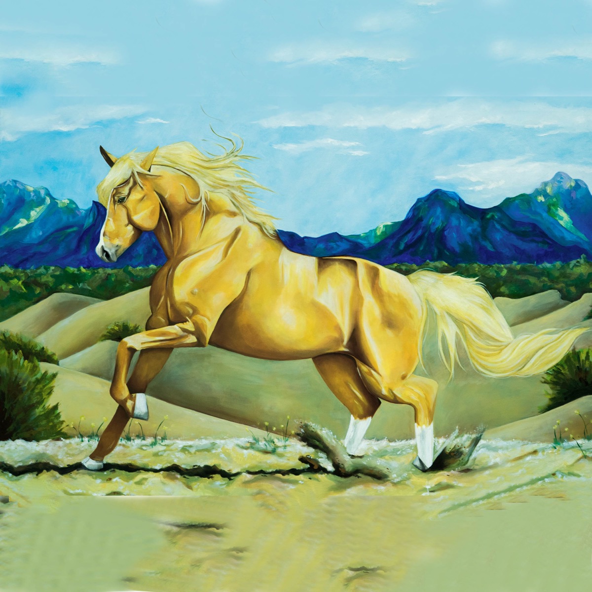Hay Un Caballo Que Nadie Quiere Acariciar by Ak The Proyectz & Prod. DRA album cover