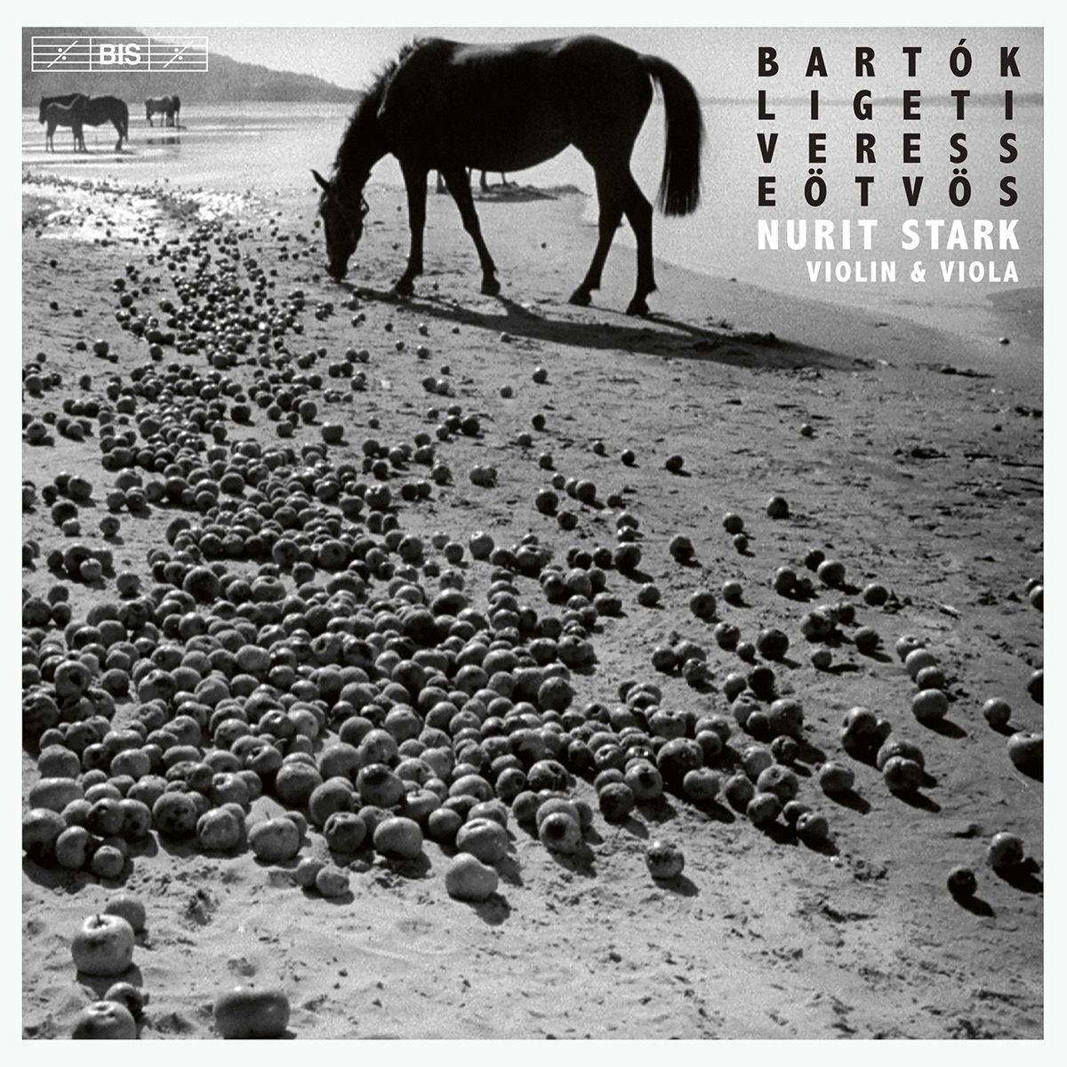 Bartók, Ligeti and Others: Works for Violin & Viola by Nurit Stark album cover