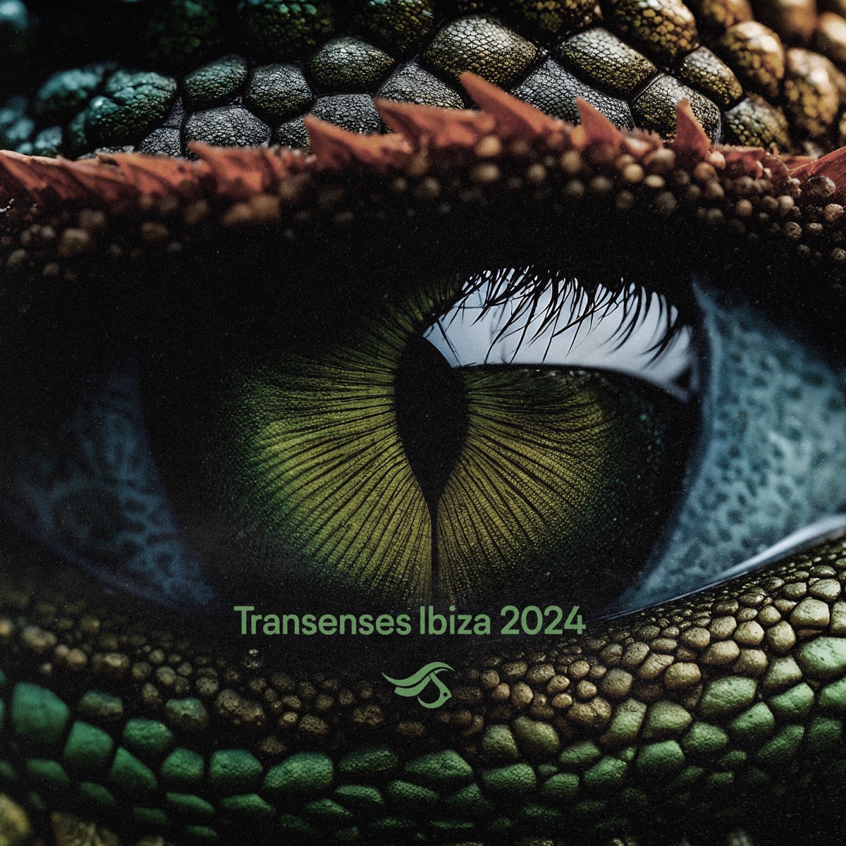 Transenses IBIZA 2024 (DJ Mix) by Transensations Records & Gorkiz album cover