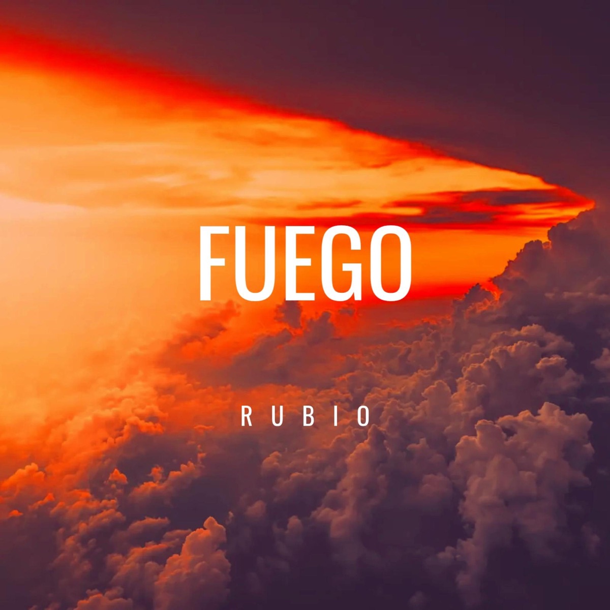 FUEGO - Single by RUBIO album cover