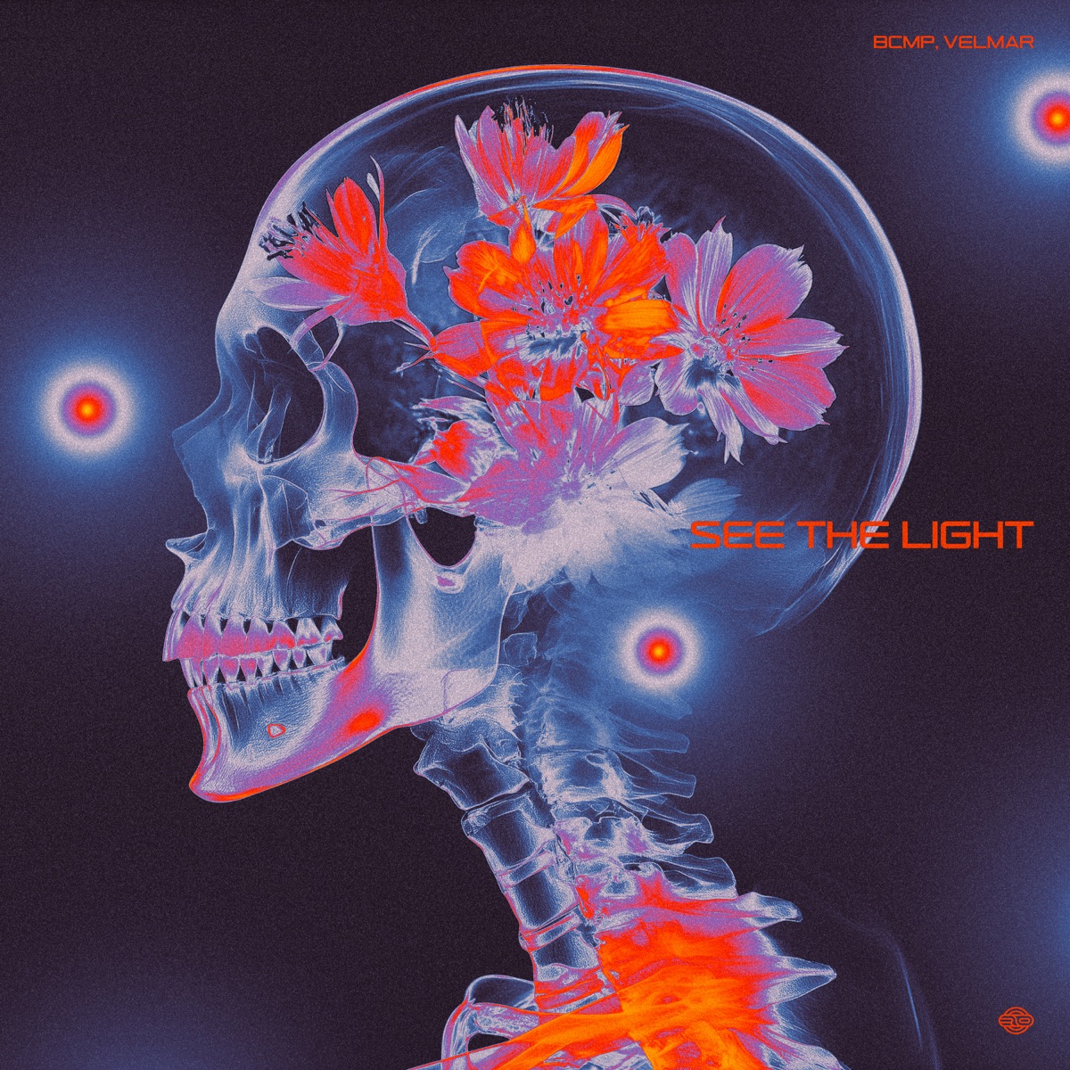 See The Light - Single by BCMP & Velmar album cover