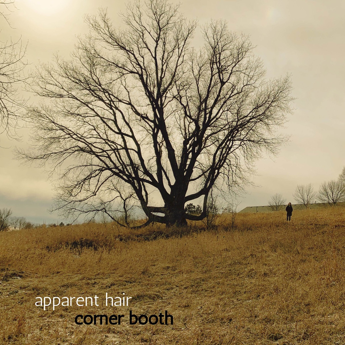 Apparent Hair - Single by Corner Booth album cover