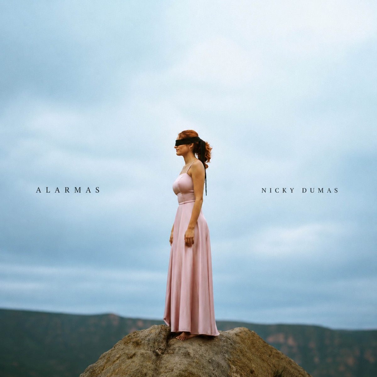 Alarmas - Single by Nicky Dumas album cover