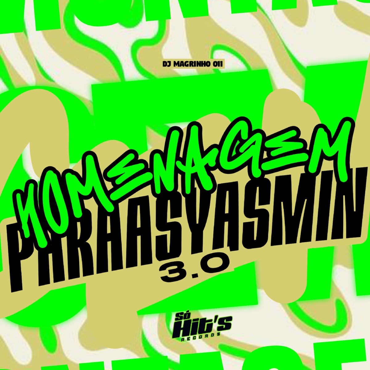 Homenagem Para as Yasmin 3.0 - Single by DJ MAGRINHO 011 album cover
