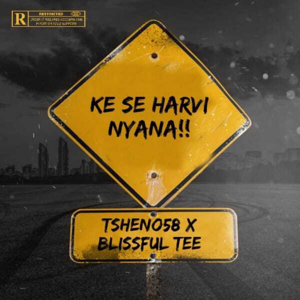 Ke se Harvi Nyana!!! - Single by Tsheno58 album cover