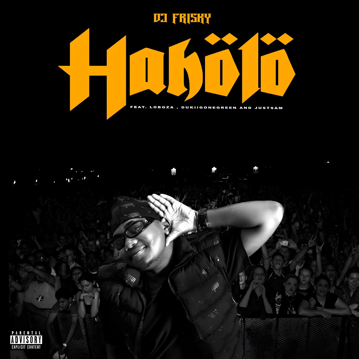 Haholo (feat. Lobo_ZA, Dukii gonegreen, JustSam & 2020Wayfly) - Single by DJ Frisky album cover