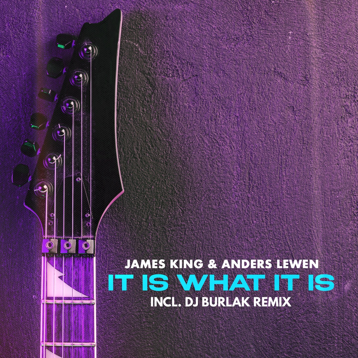 It Is What It Is - Single by James King & Anders Lewén album cover