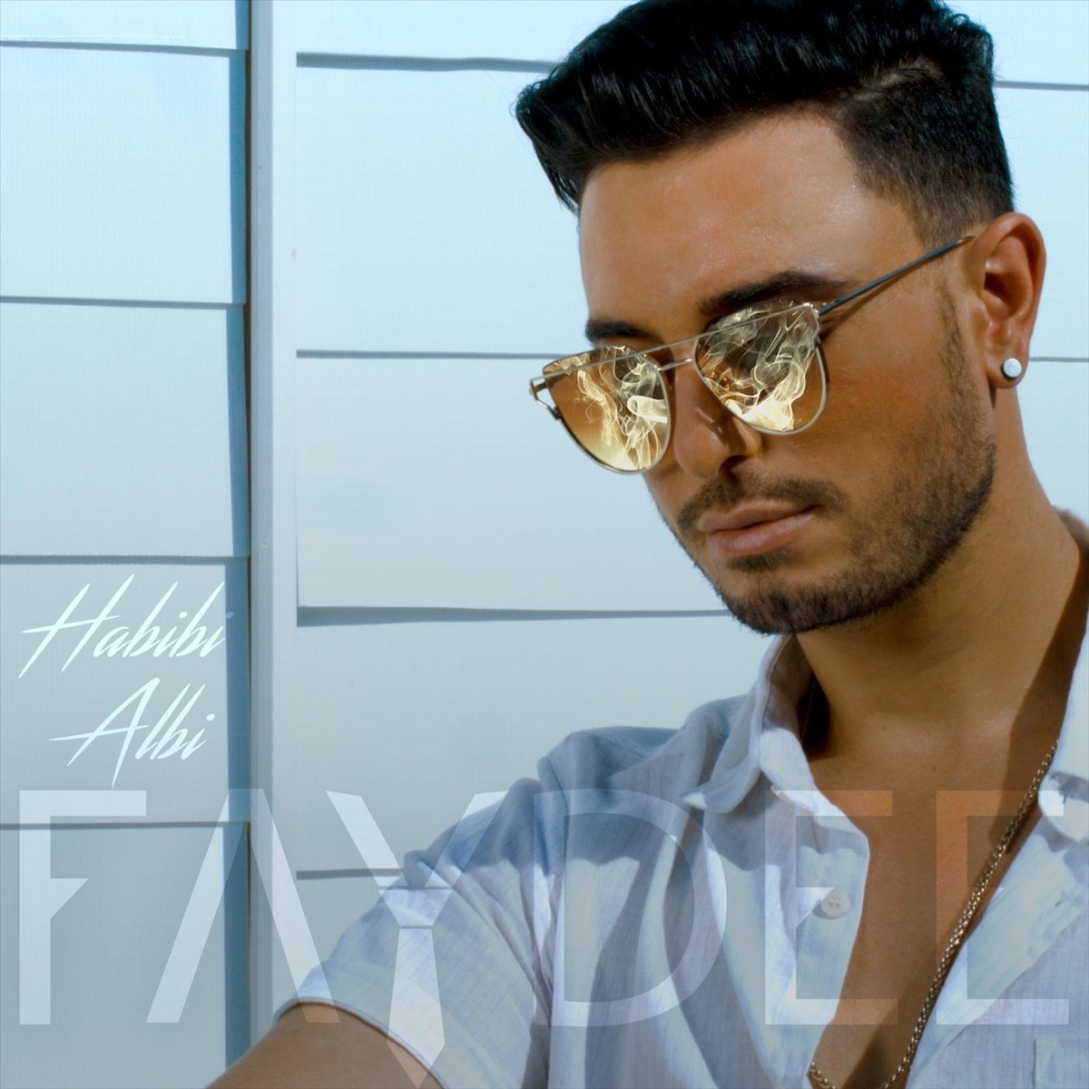 Habibi Albi (feat. Leftside) - Single by Faydee album cover